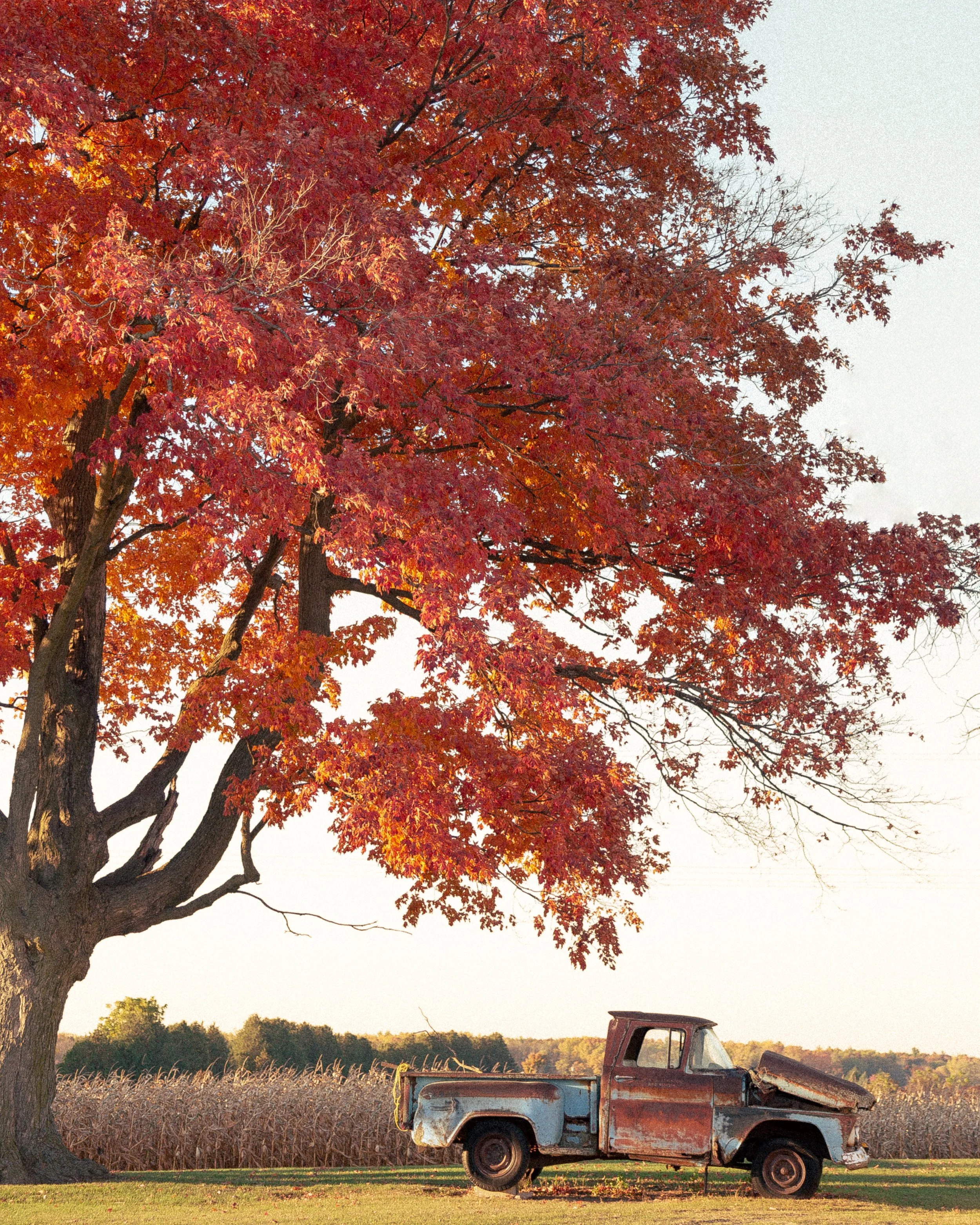 D4278446-5B3E-427A-9A66-212F8B801FCA 2.JPG