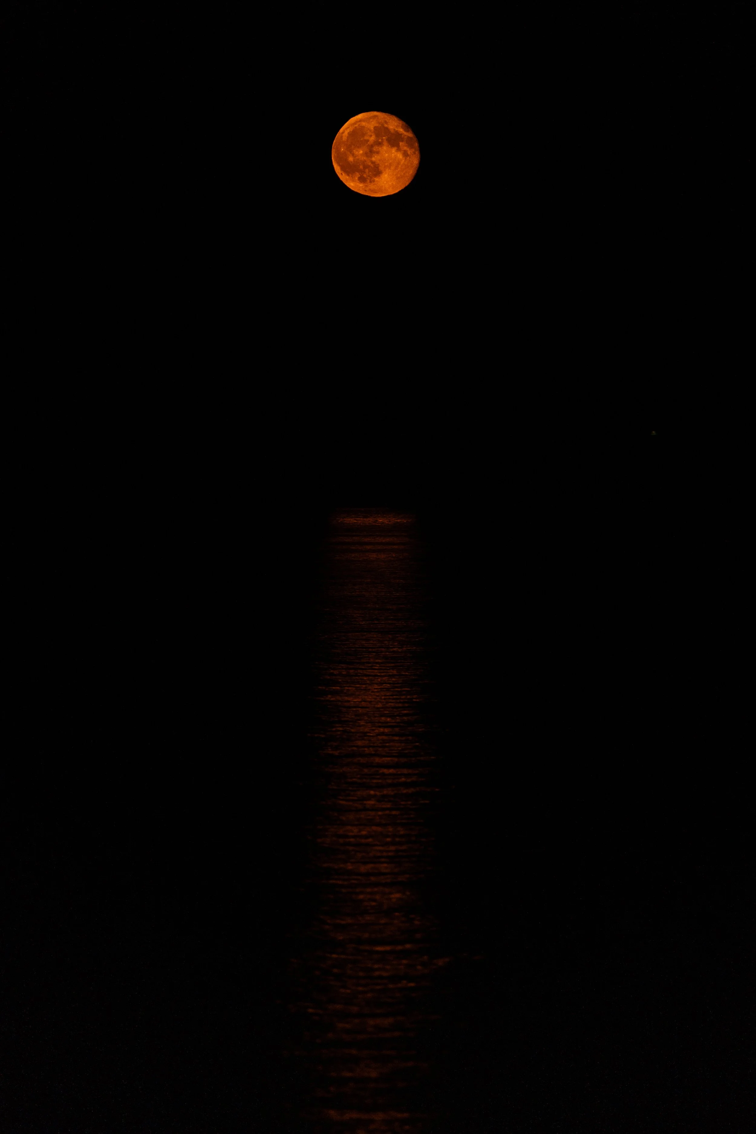 DSC09630.jpg