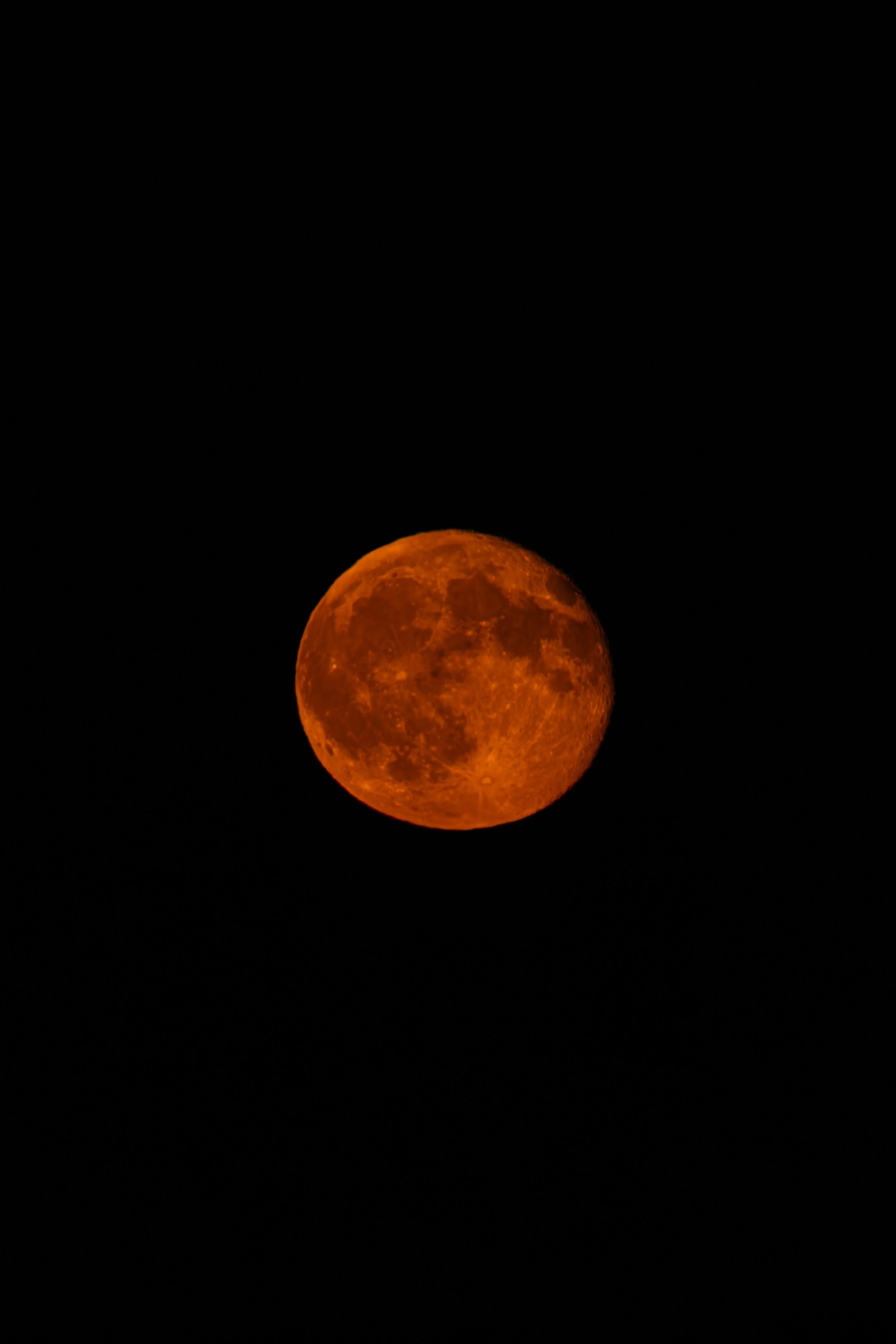 DSC09618.jpg