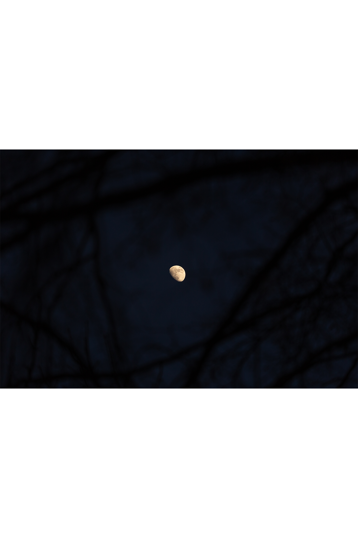 moon.png