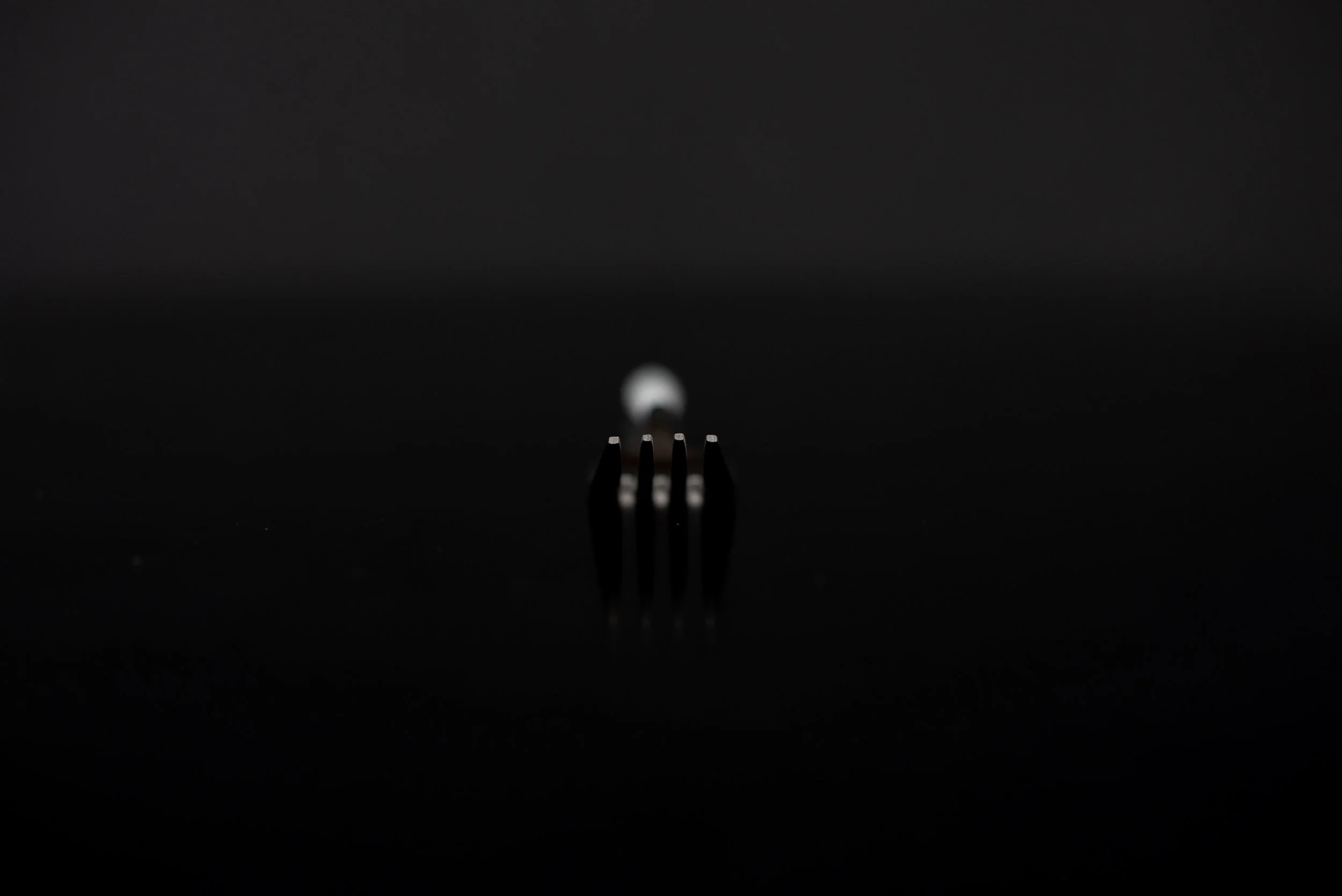 GOA WHITE-2.jpg