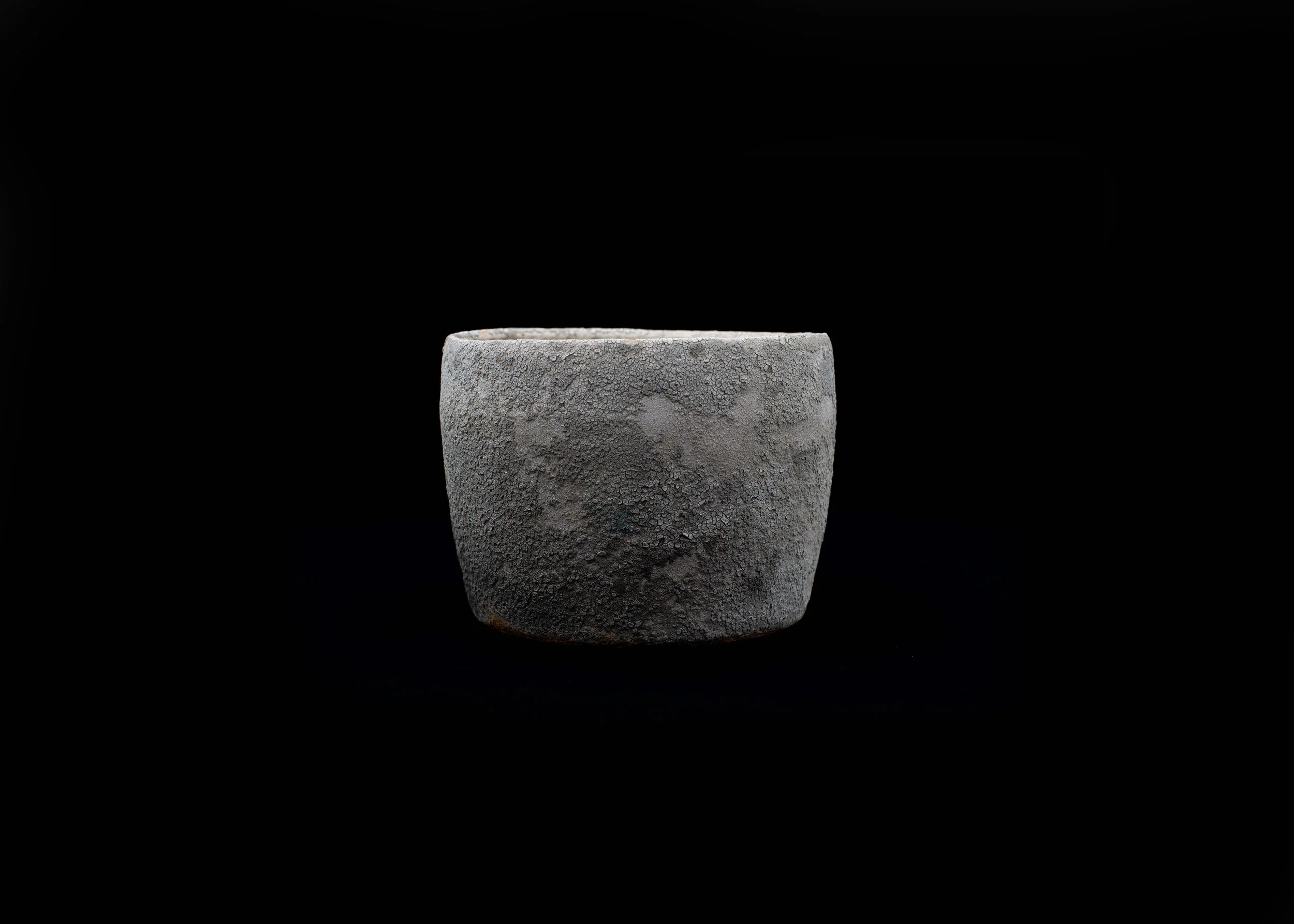 LICHEN_D17_H13-3_HORIZONTAL.jpg