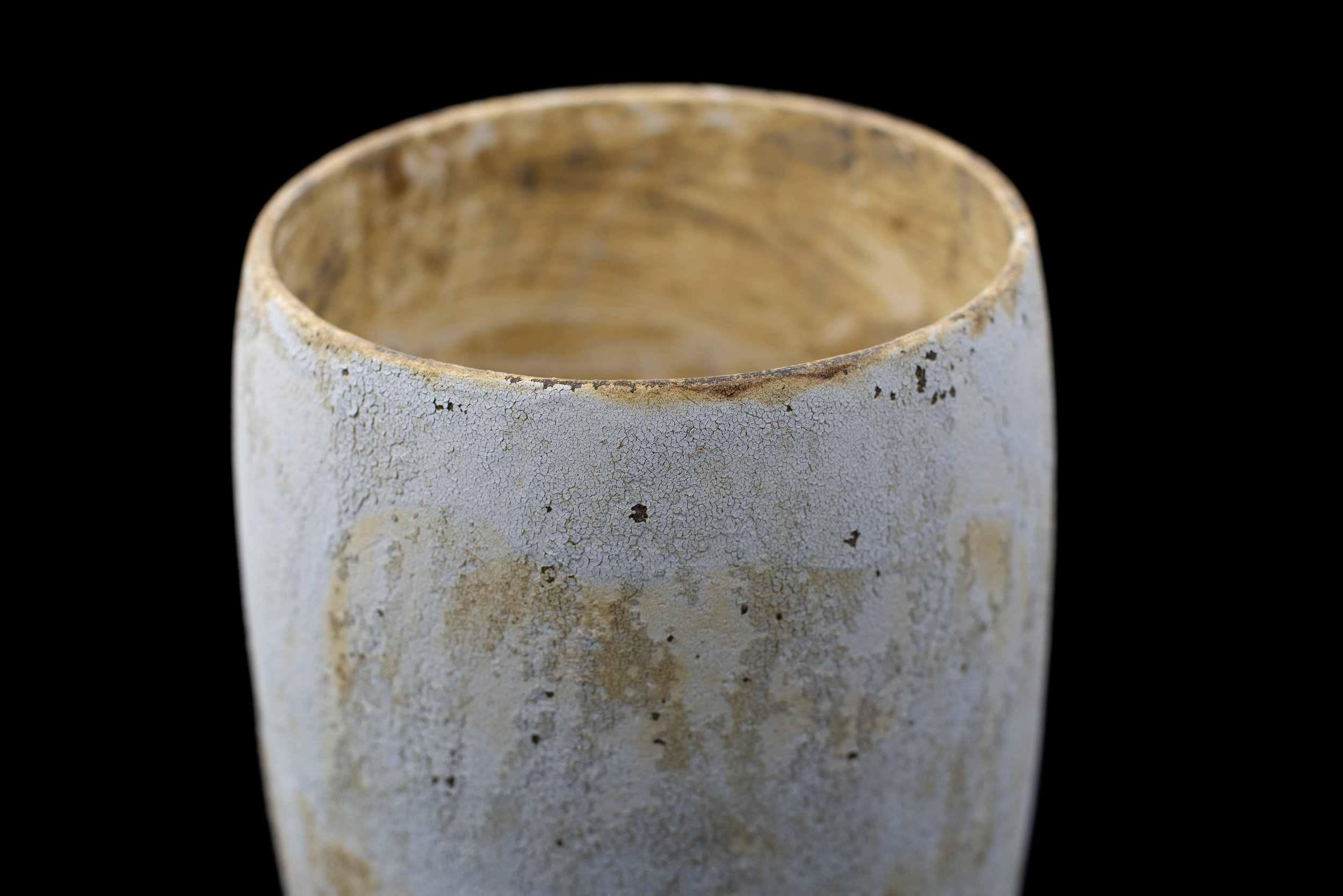LICHEN_D18_H48-4.jpg