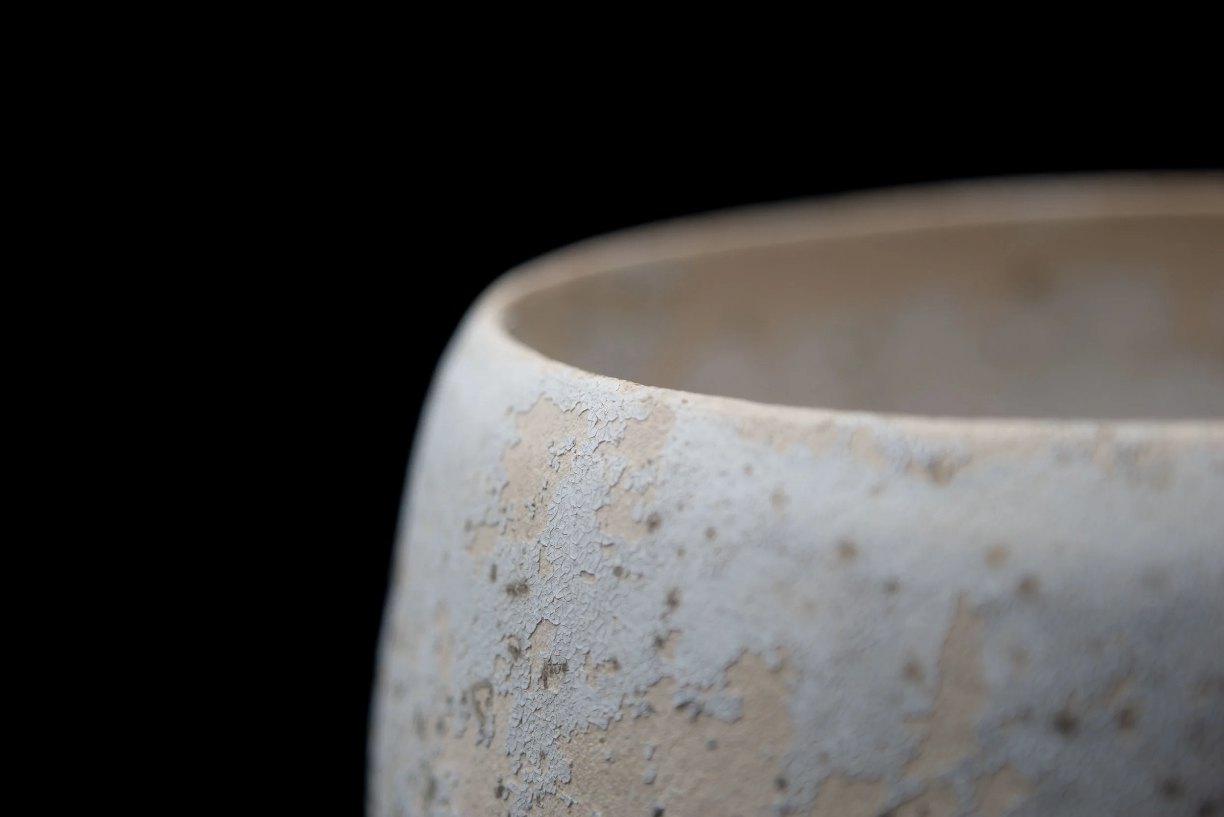 LICHEN_D8_H29-4.jpg