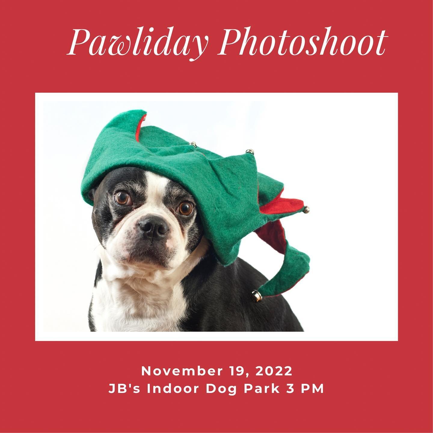 Our Pawliday Photoshoot is going to be great this year and you don't want to miss out. Sign up for the shoot ends at 5 pm Friday night. After that you will have to pay the day of rate so you definitely want to get in early. 

As with all our indoor m
