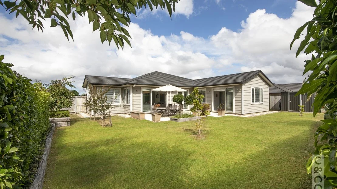 pohutakawa-24-1110x623.jpg