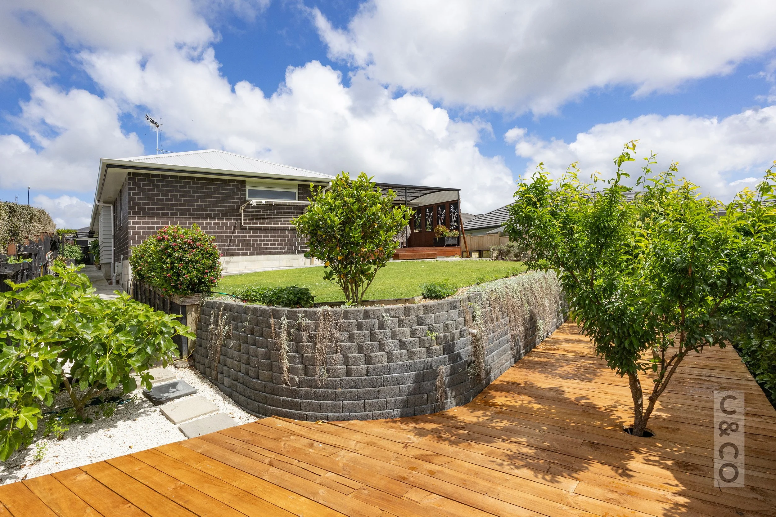 pohutakawa-07.jpg