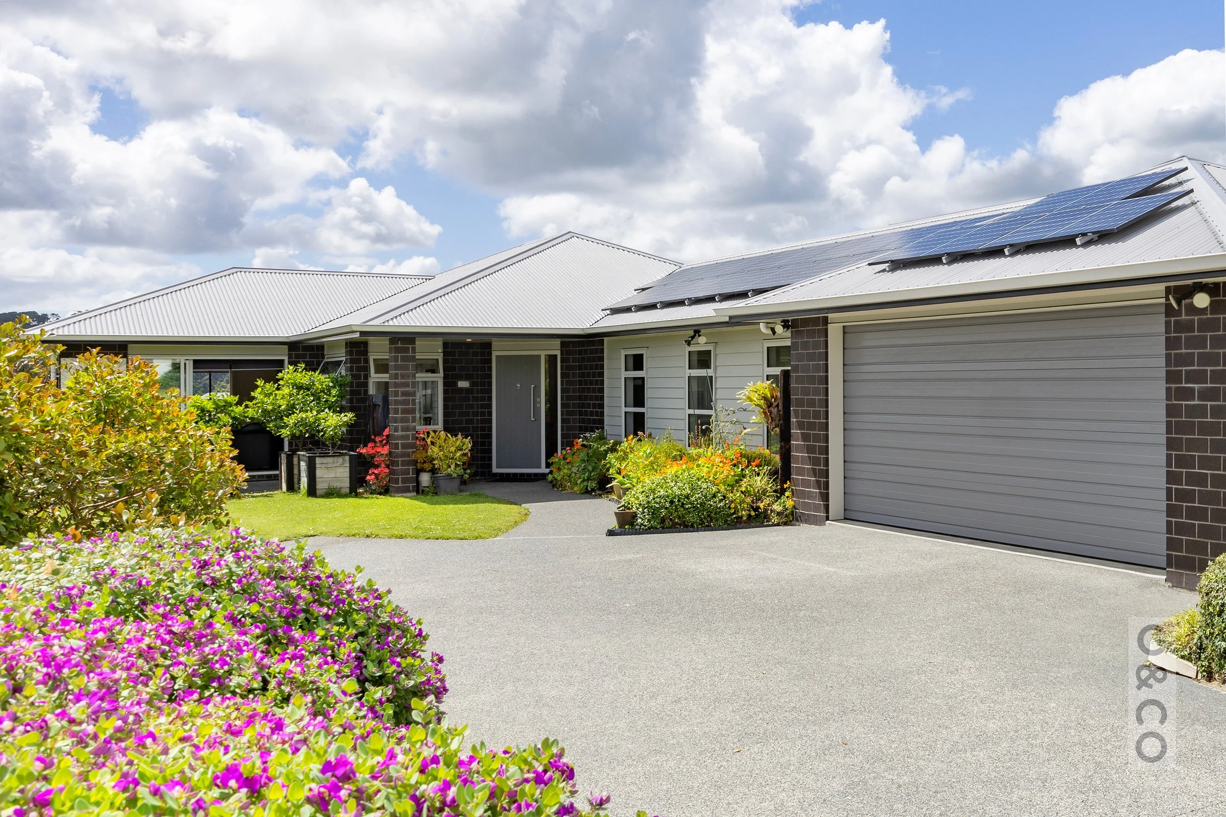 pohutakawa-03.jpg