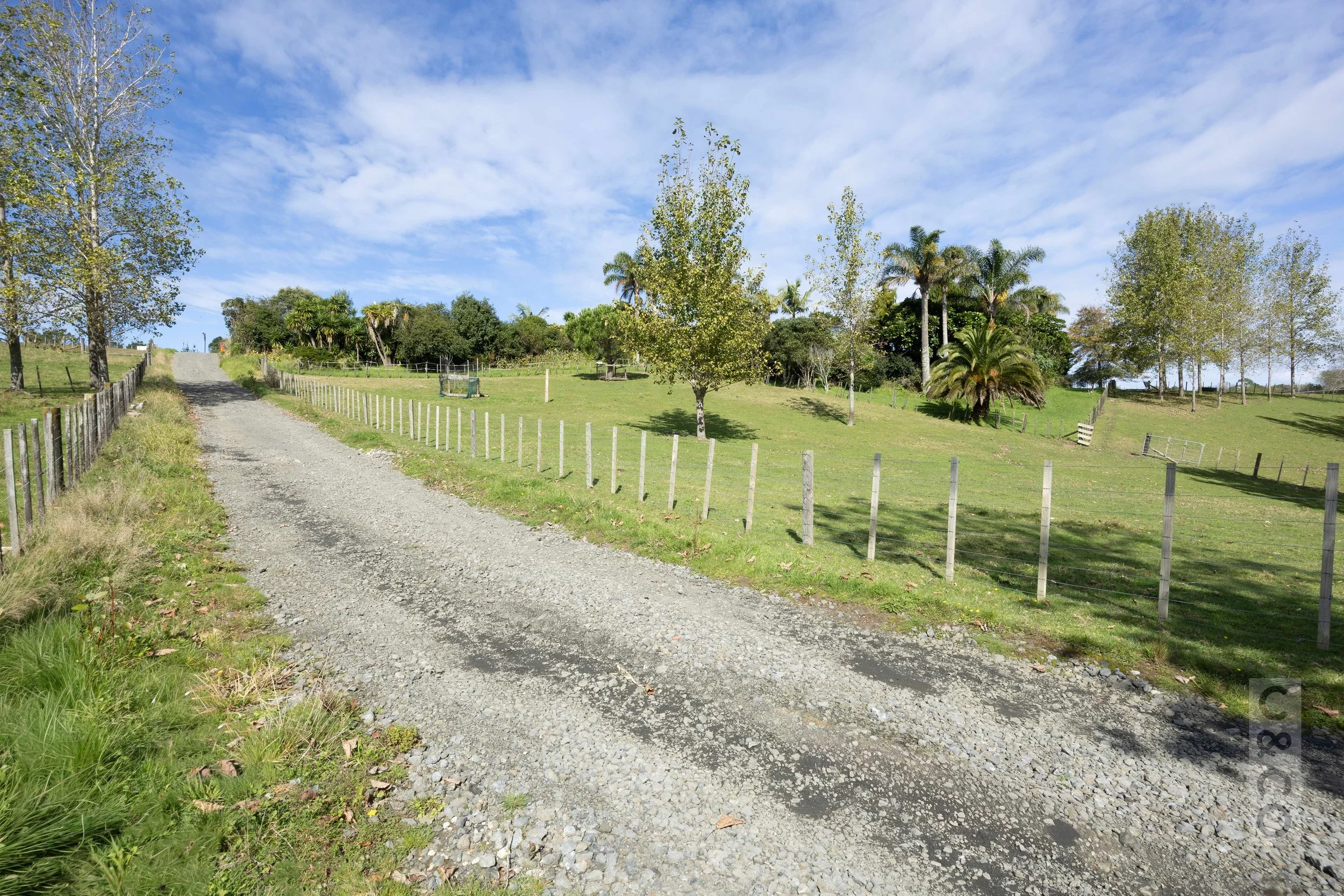 ridge-08.jpg