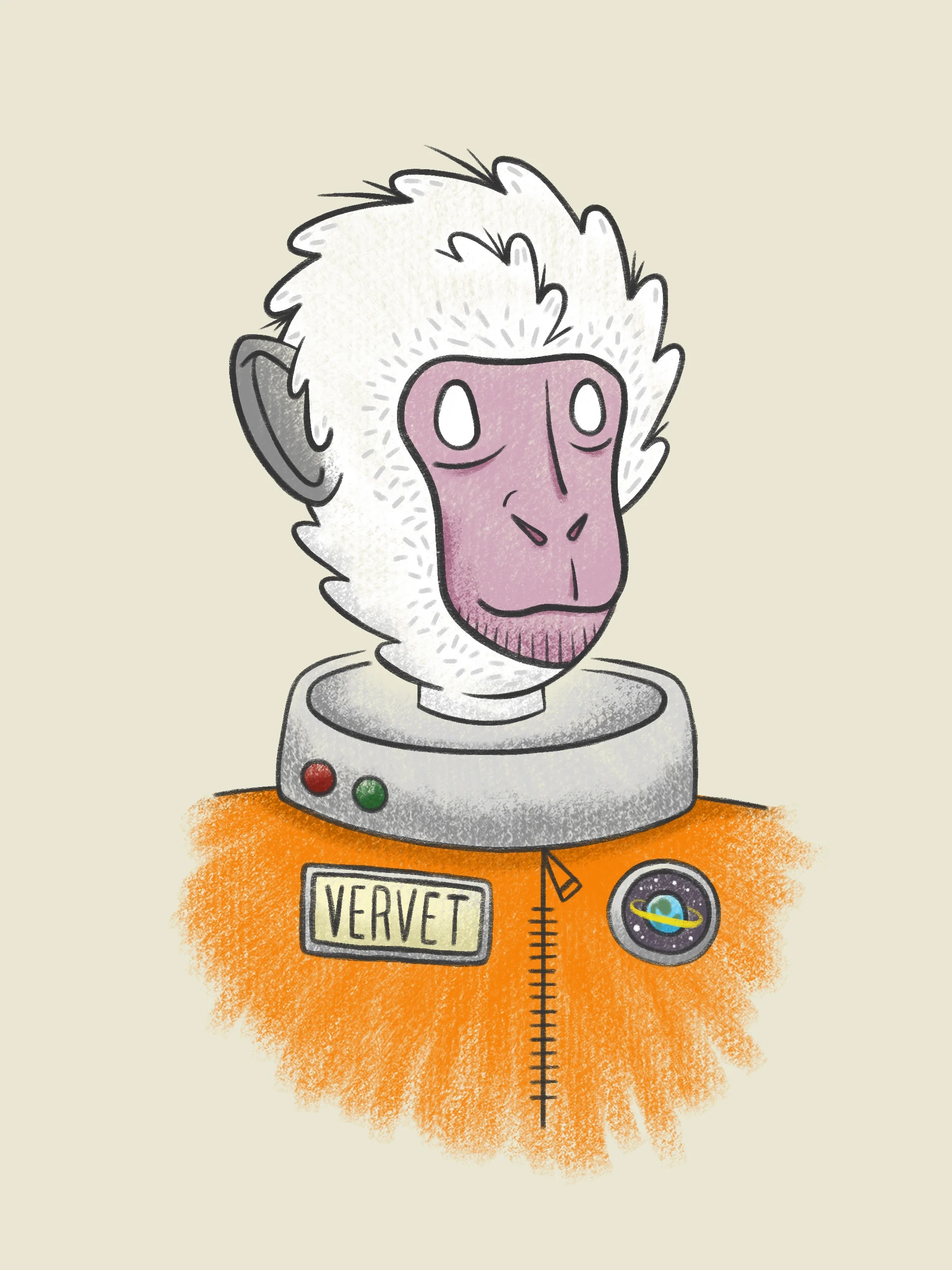 Vervet.jpg
