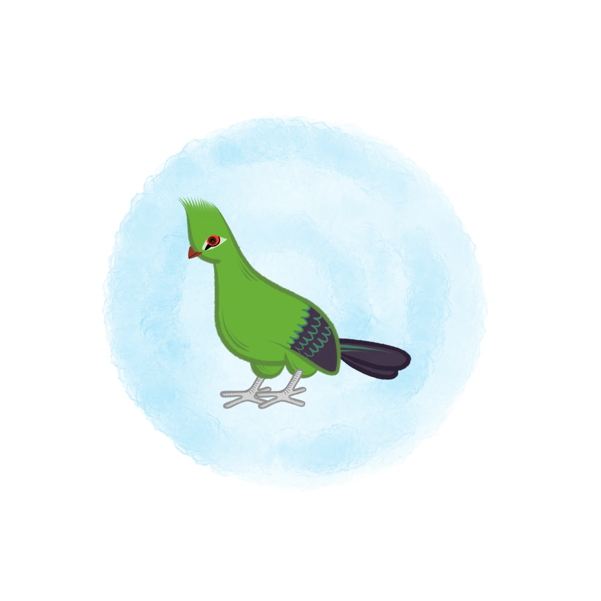 2017_053_guinea_turaco copy.jpg
