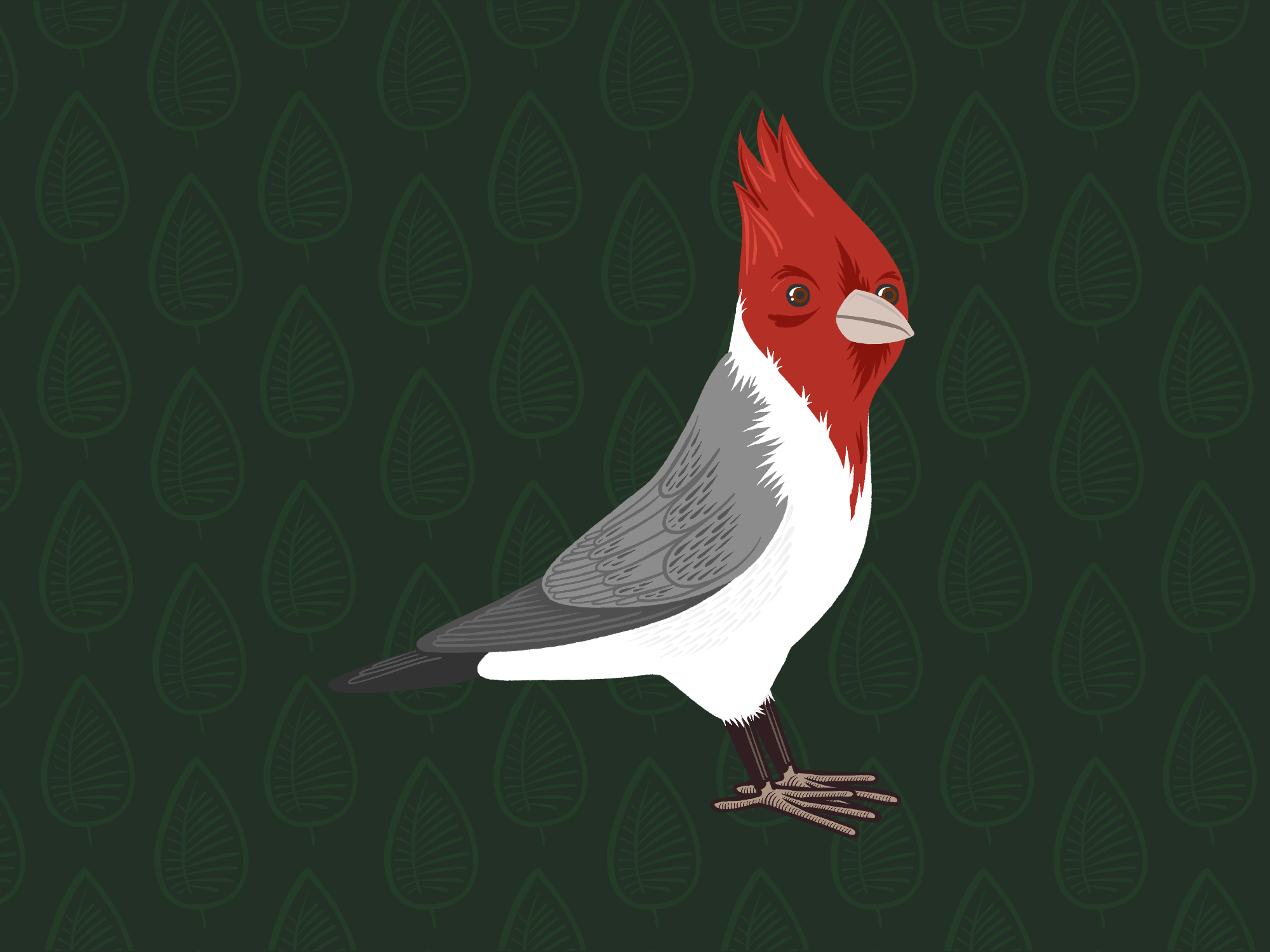 2017_069_Hawaiian_Cardinal.png
