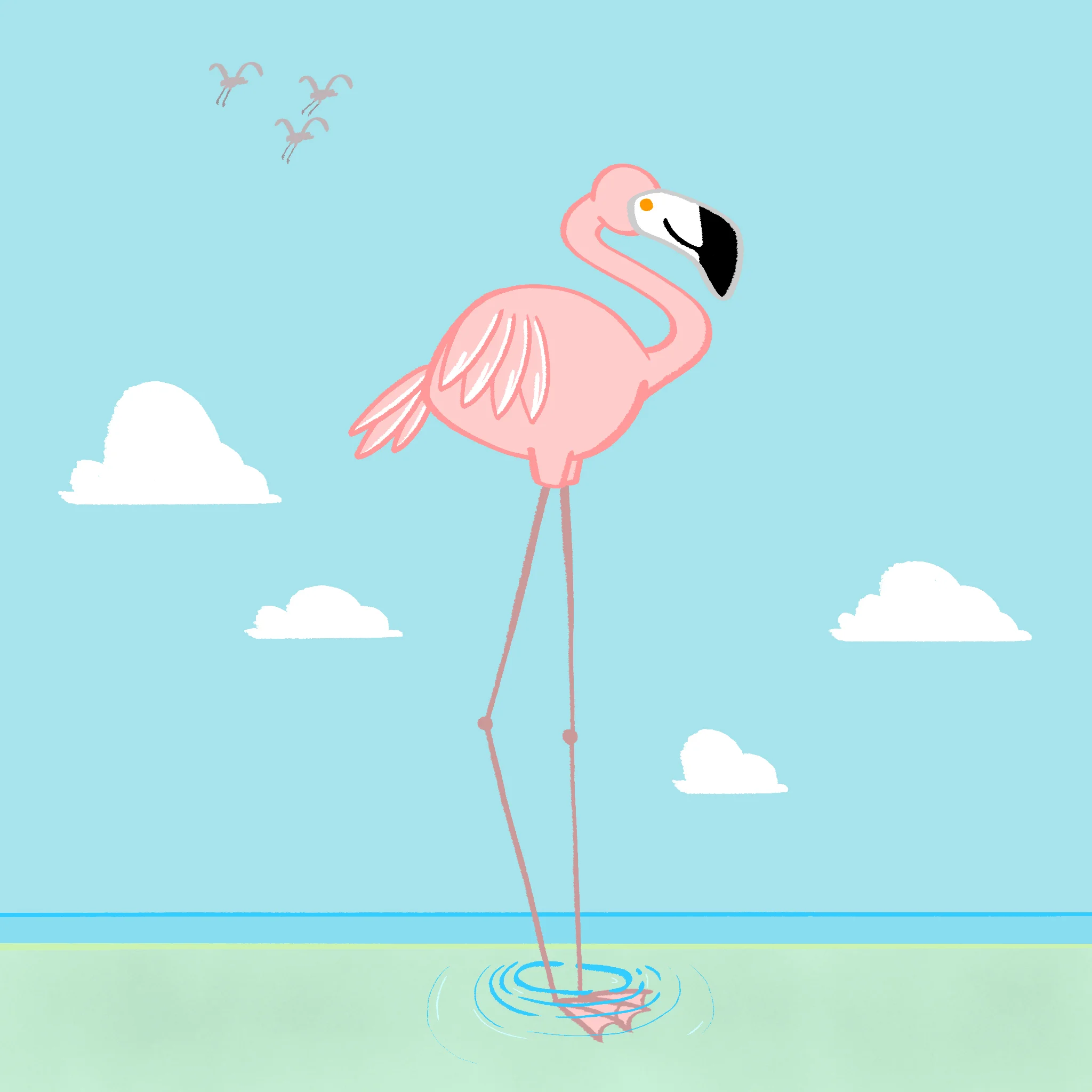 flamingo.jpg
