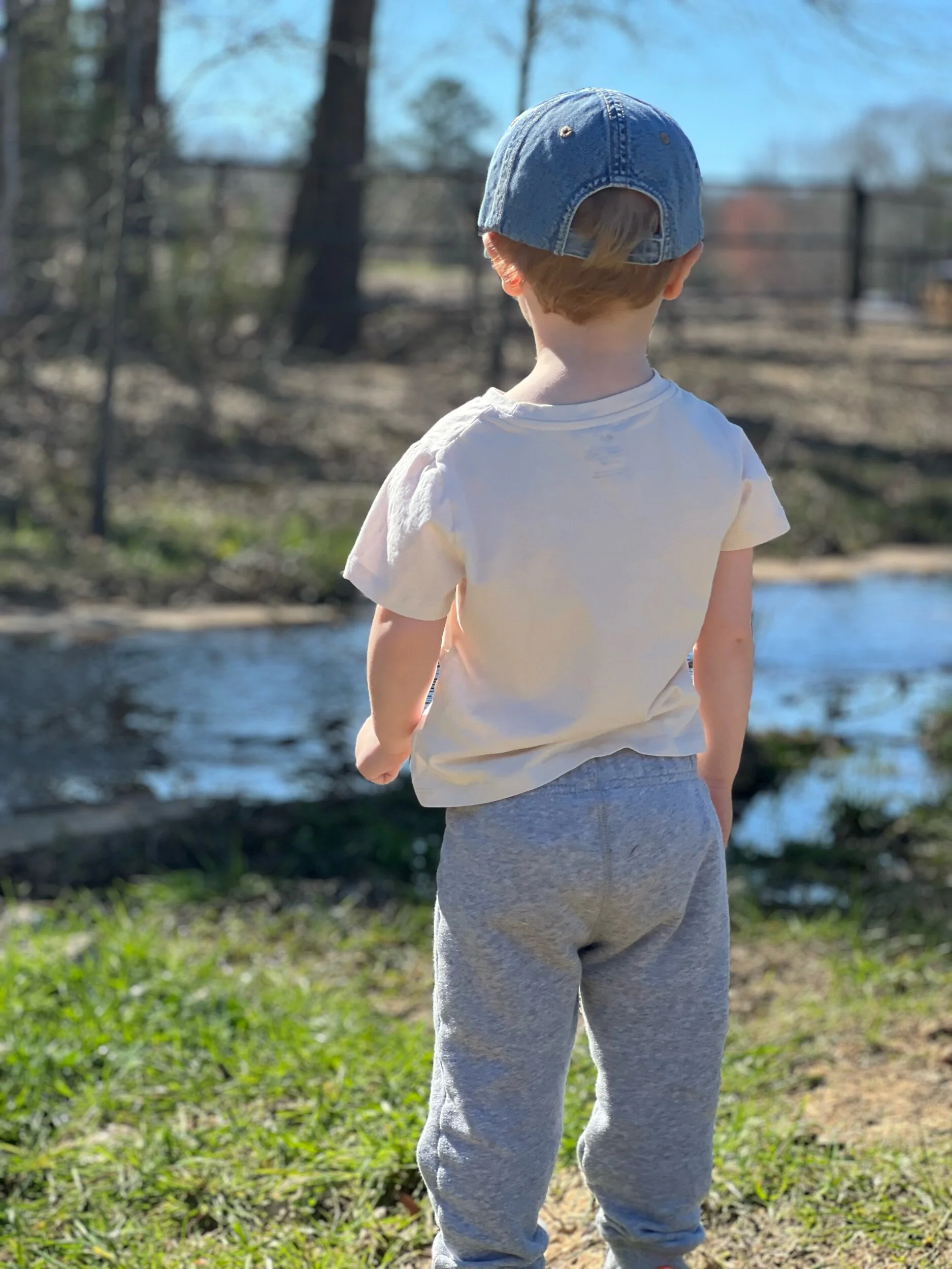 2A794671-8F12-4E3D-937C-8DE0361862EC