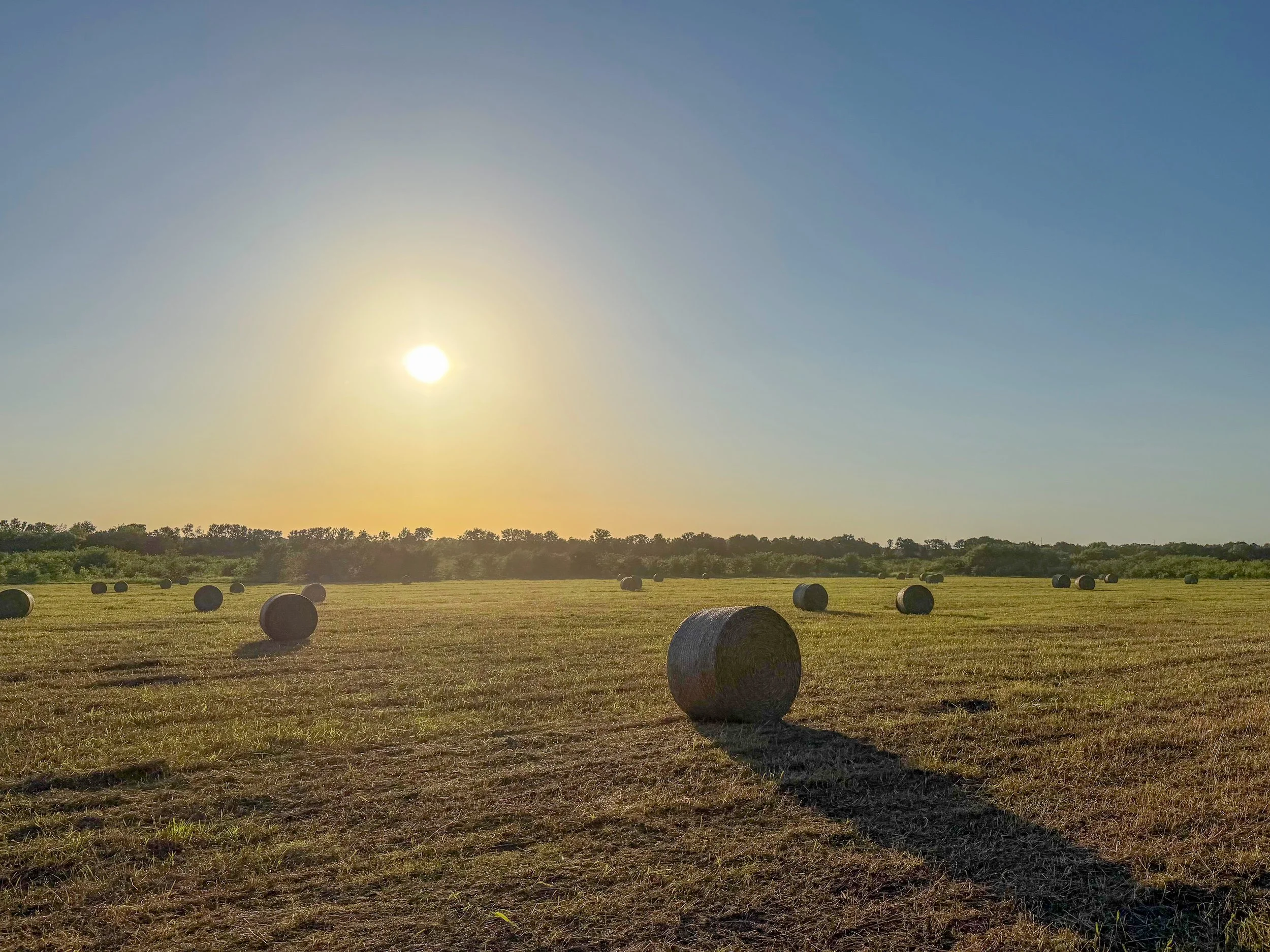 farm-20.jpg