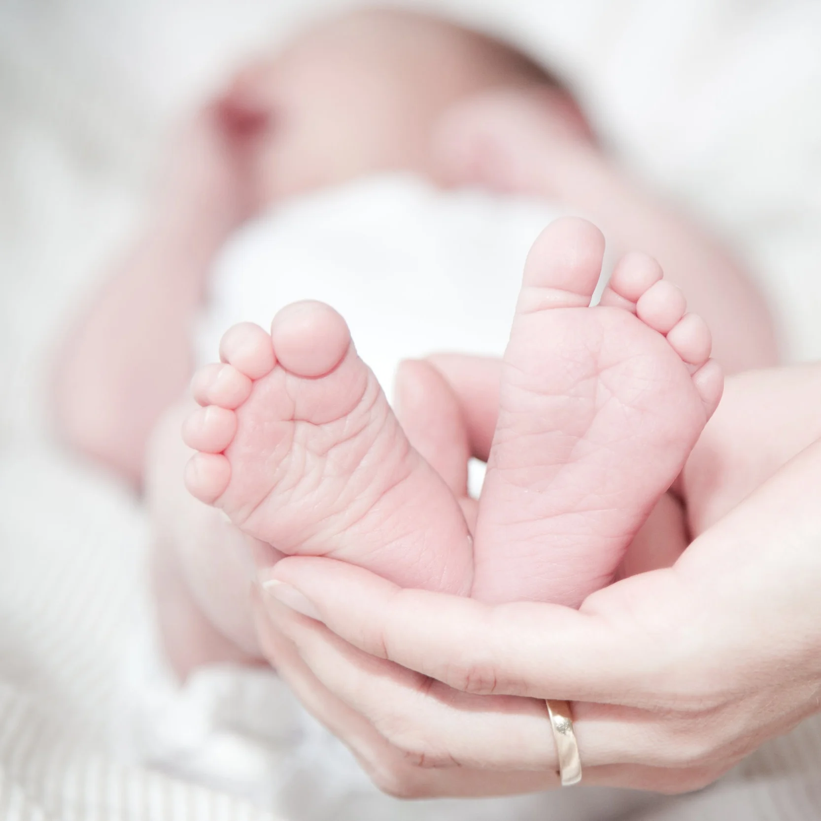 Motherhood and the NICU