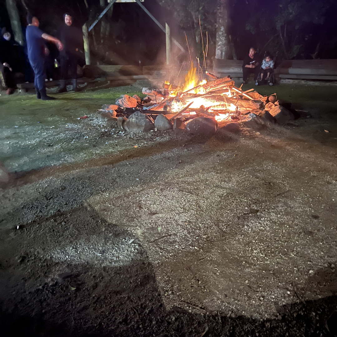 New Zealand in Popular Culture: A Journey Through Time