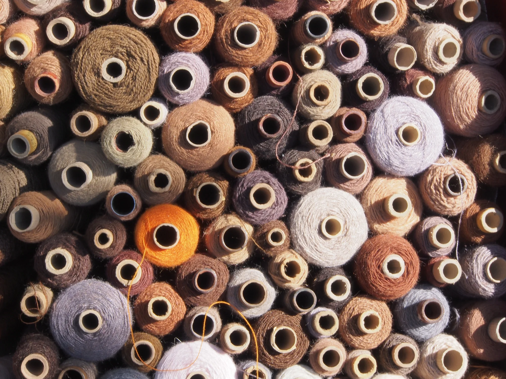 Couture Brand - Idea to Launch in 6 Weeks