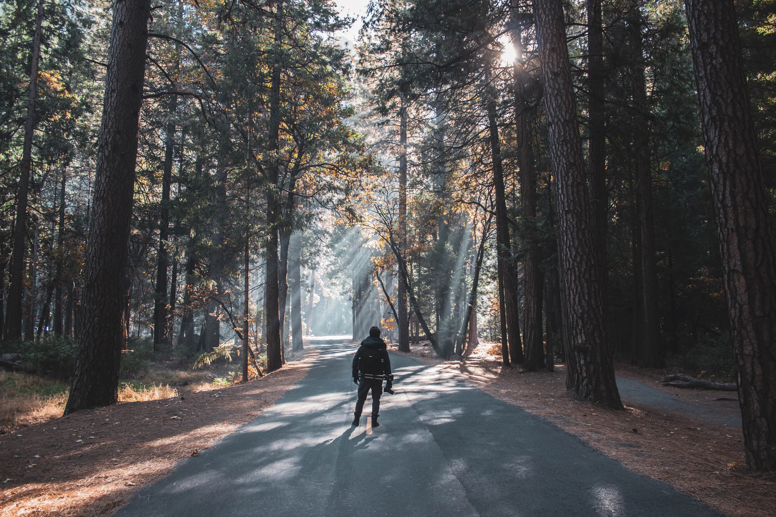 Yosemite National Park