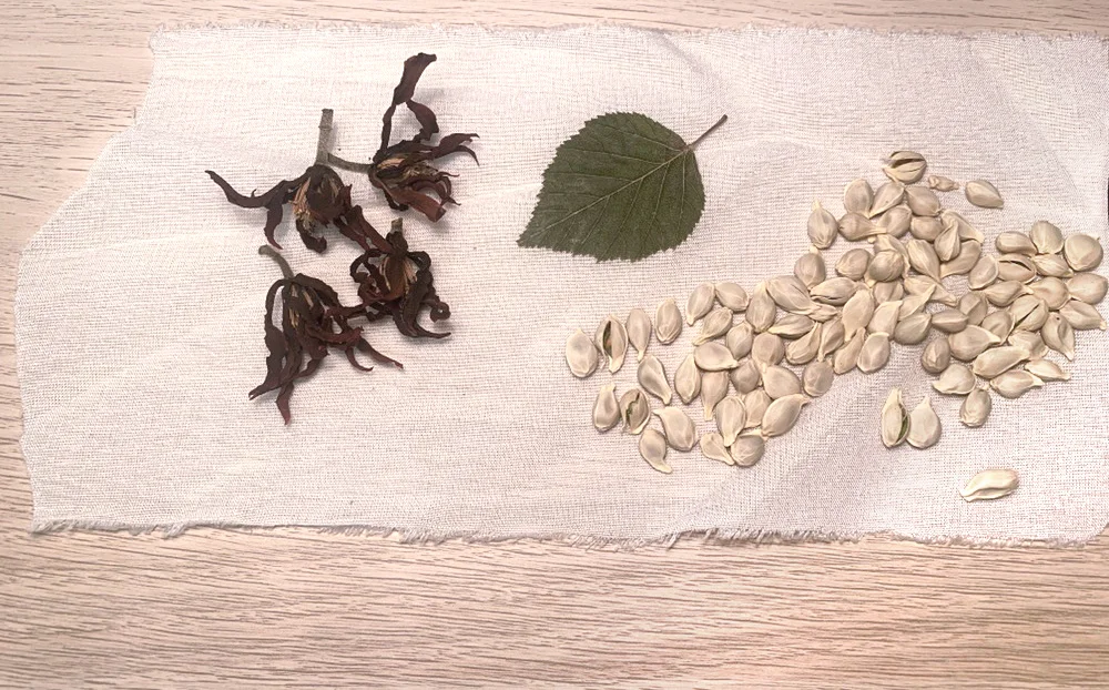 1st《定不定期。  讀書會》