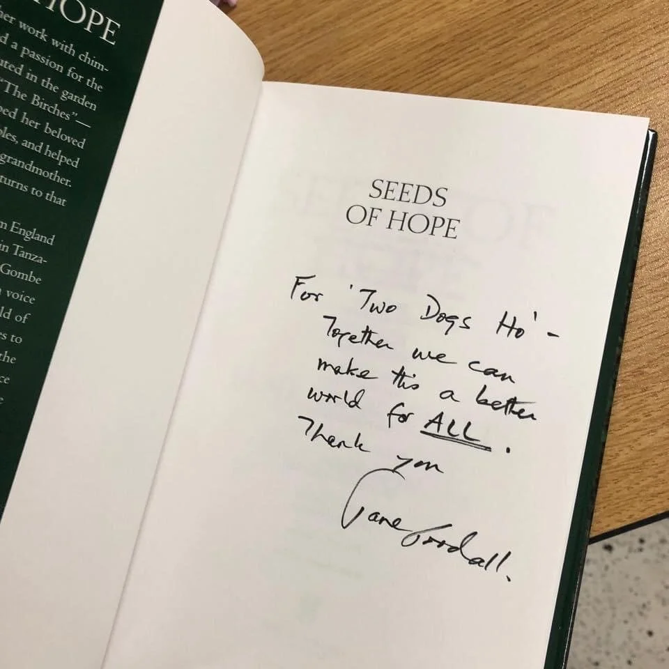 Jane Goodall &amp; my book