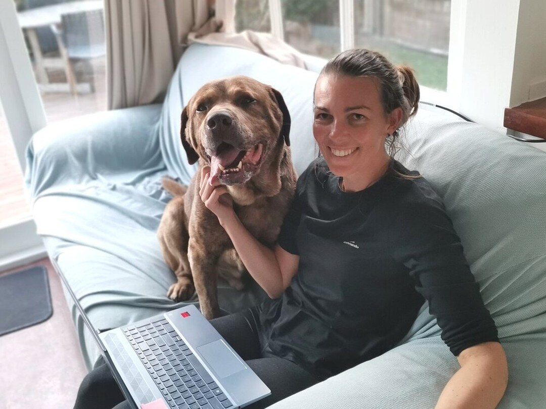 Introducing the newest member of Team Physio Impact - Beau!

Beau graduated from doggo school 9 years ago. He is very experienced and great at his job, however his background story is somewhat vague. Beau prides himself in providing friendly welcome 