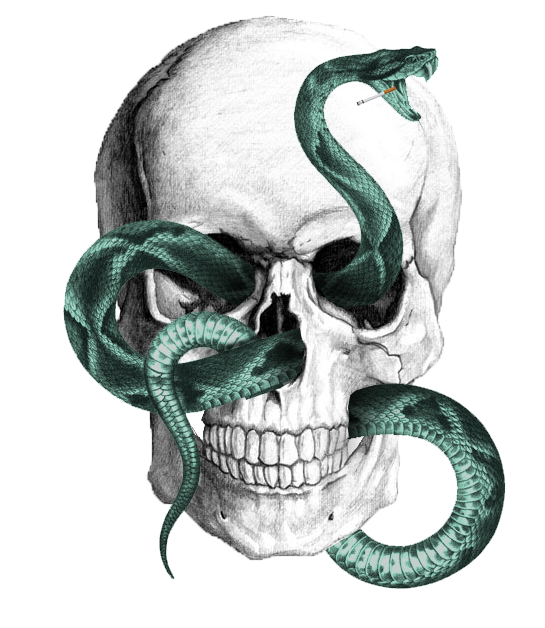 front skull 9.29.08 pm.png
