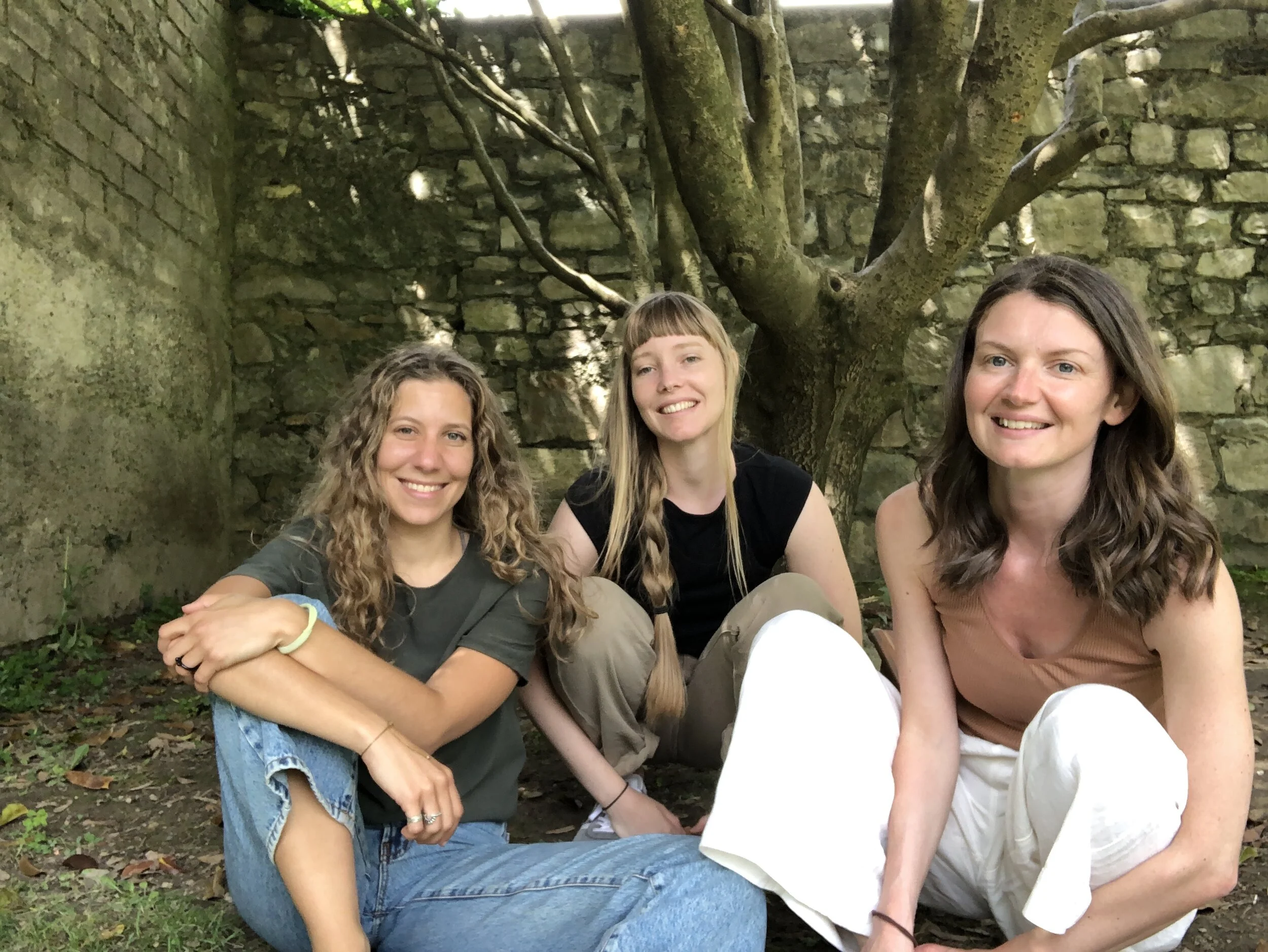 Pratica speciale per il nostro compleanno! 