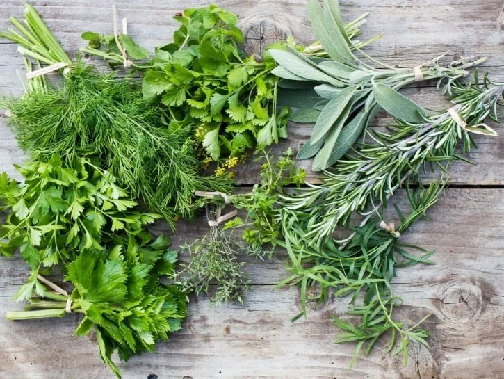 Yoga &amp;&nbsp;Erbe aromatiche