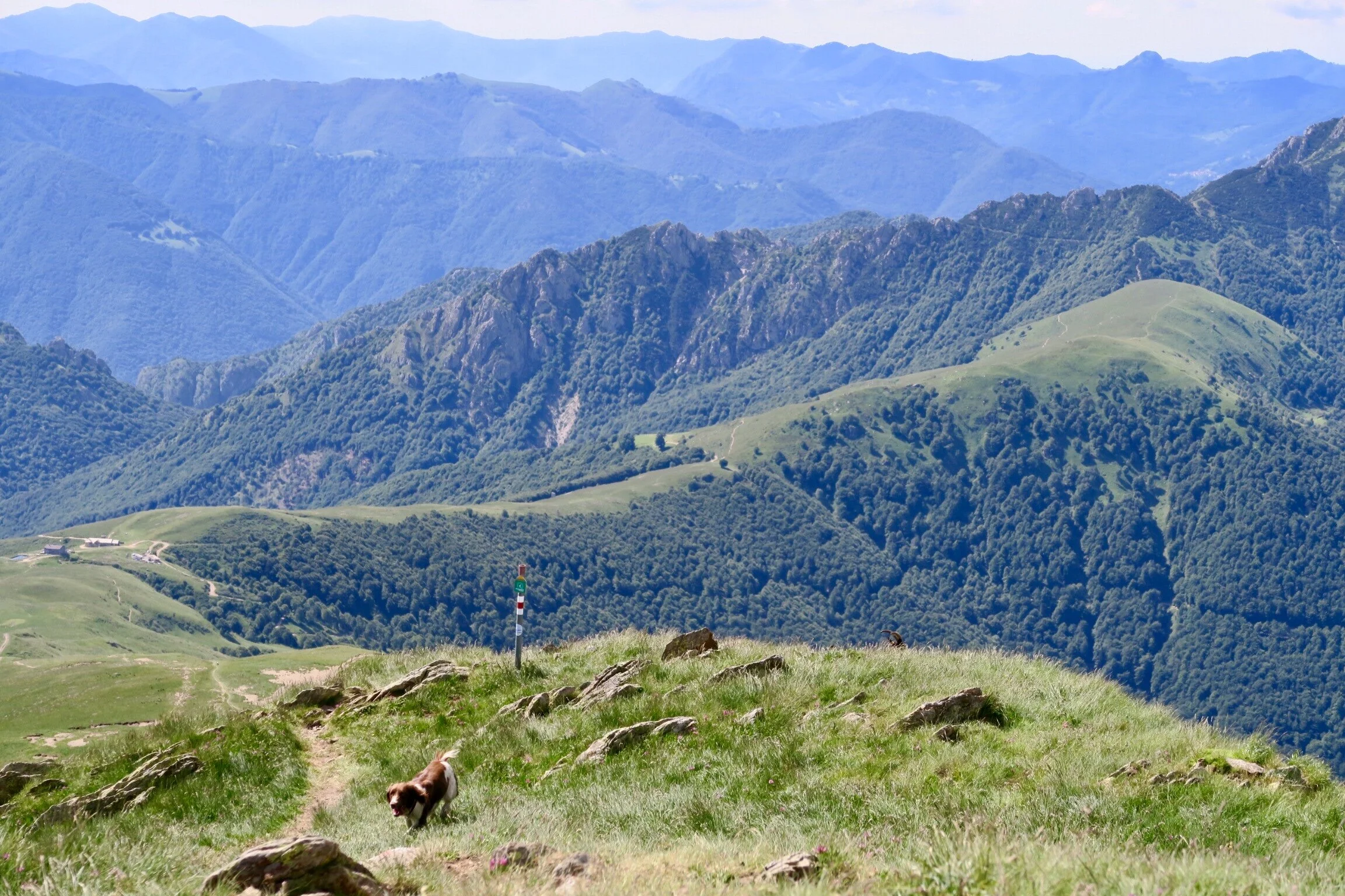 San Lucio con Wandering Yogis