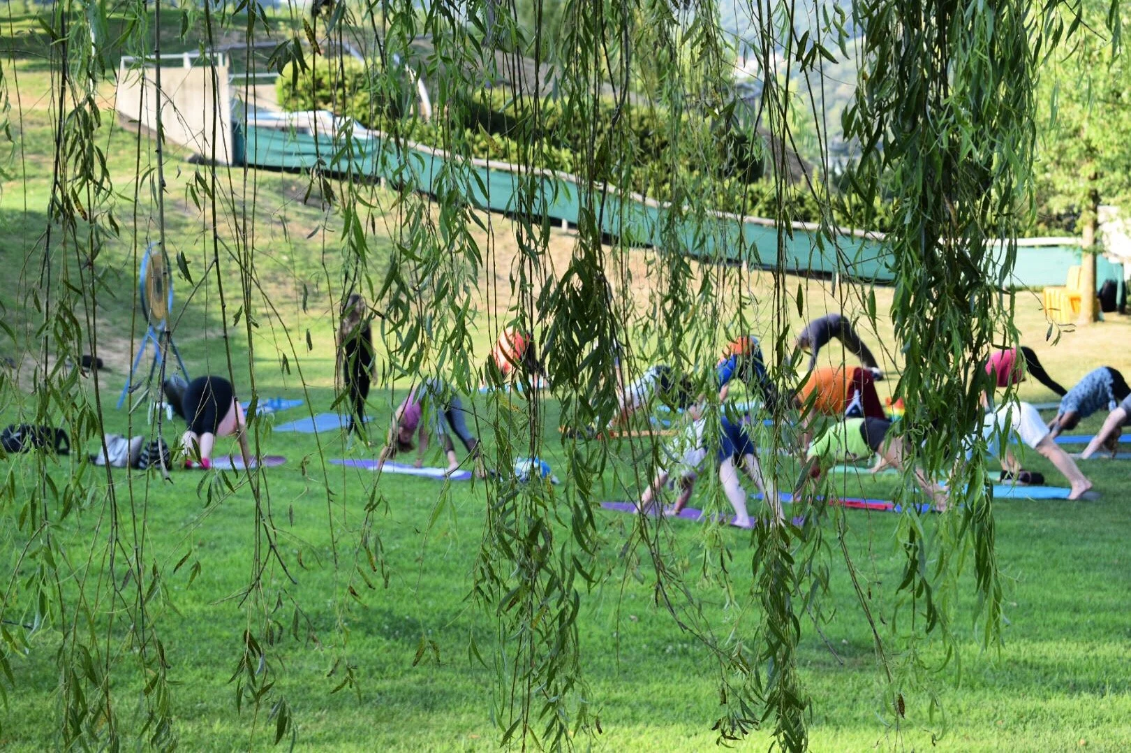 Yoga all'aperto (Parco Tassino e Parco Guidino)