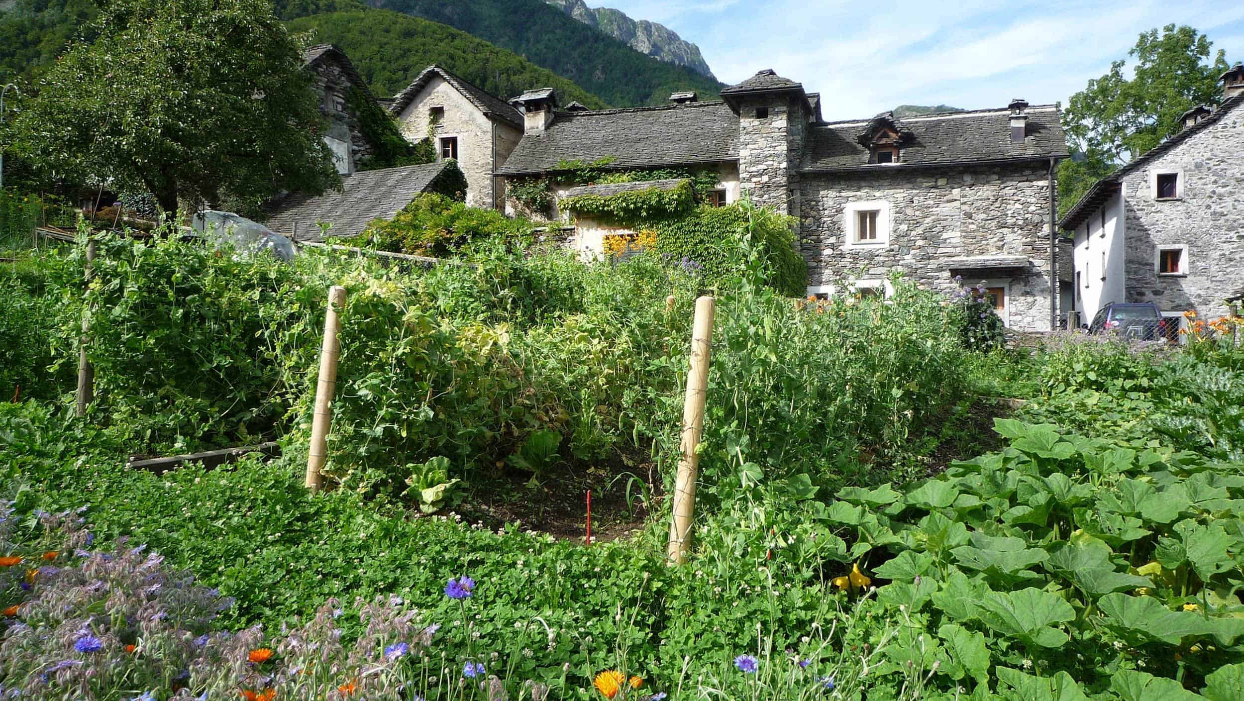 Swiss-Eco-Village-Fondazione-Terra-Vecchia-Bordei-retreat-Center-Switzerland-Swiss-Alps-P1000652-2-1.jpg