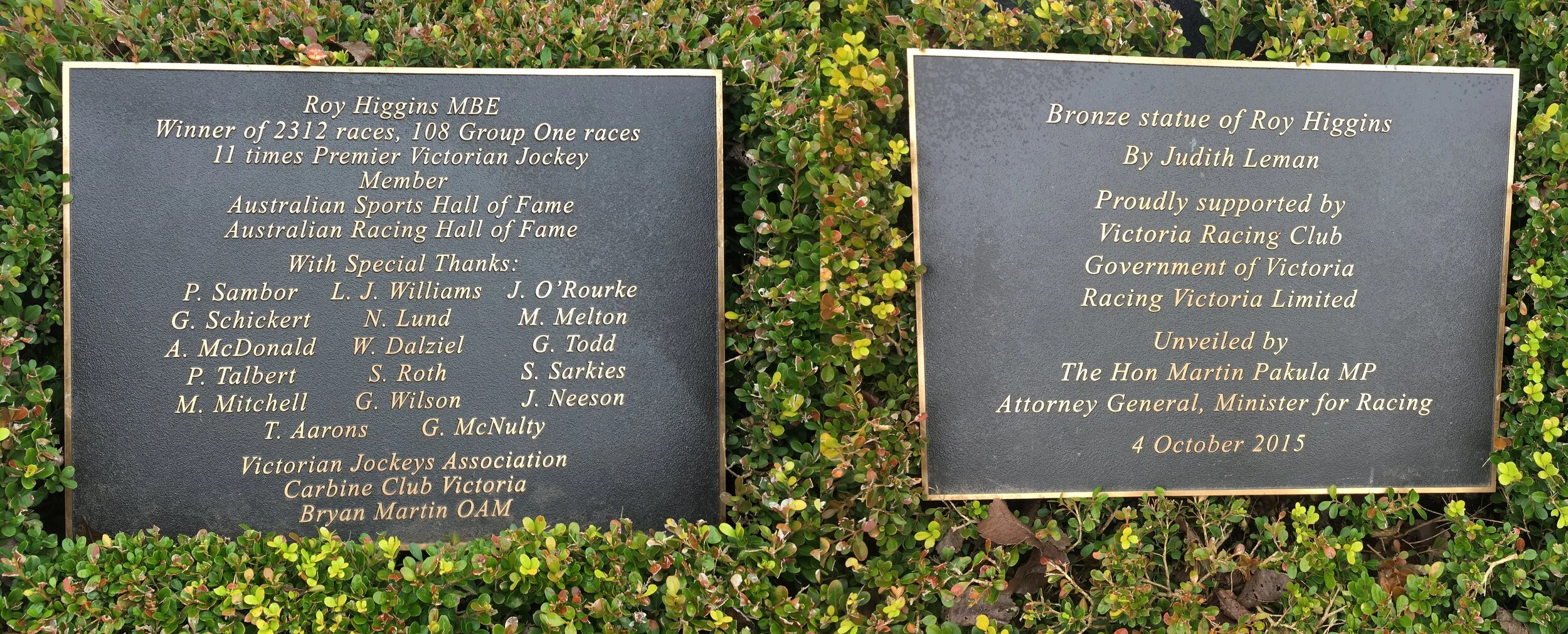 Roy Higgins combo.jpg