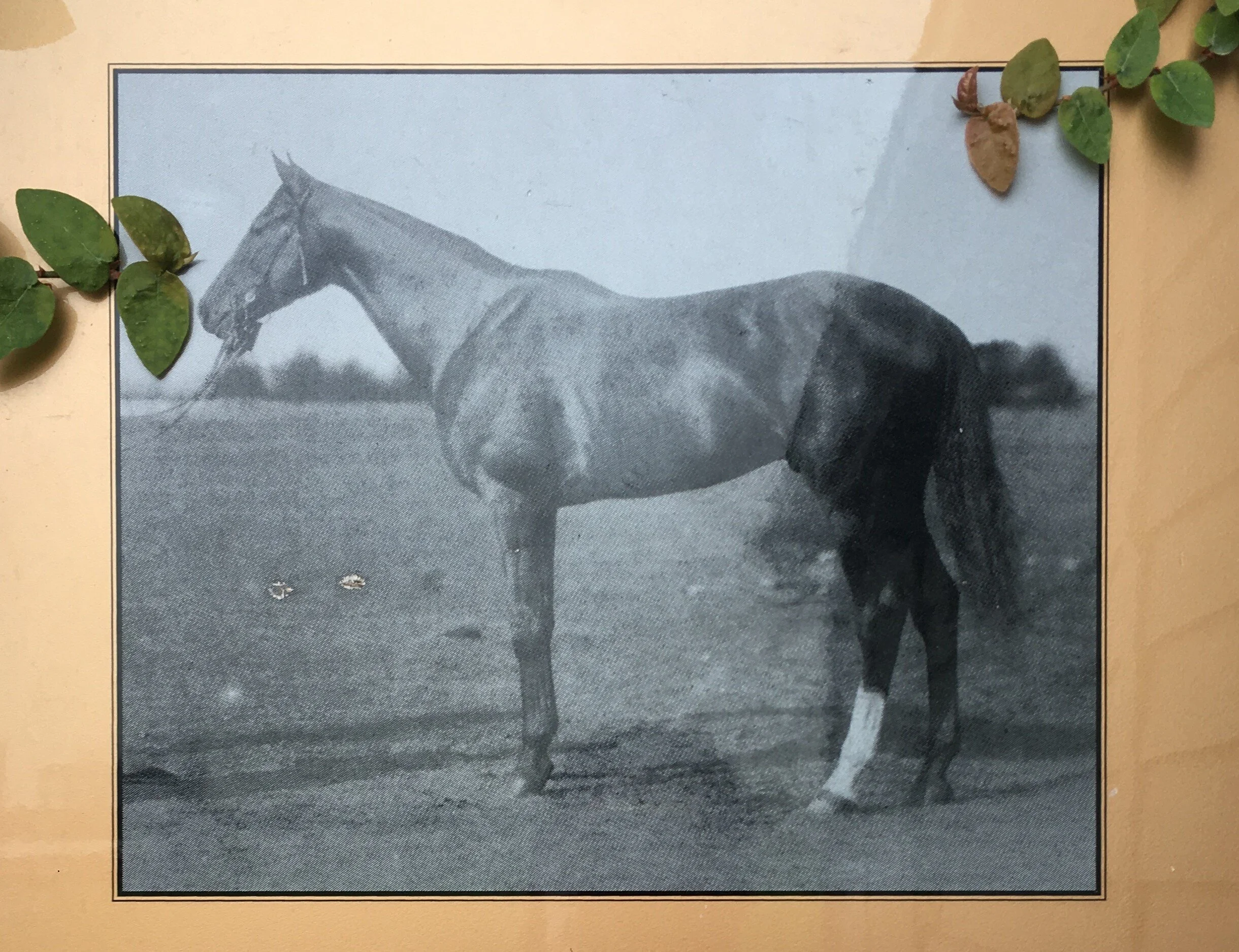 Nicknamed “Old Jack” he would freeze stock still in a crowd of onlookers so he could enjoy their cheers and applause, refusing to move until the cheering died down.