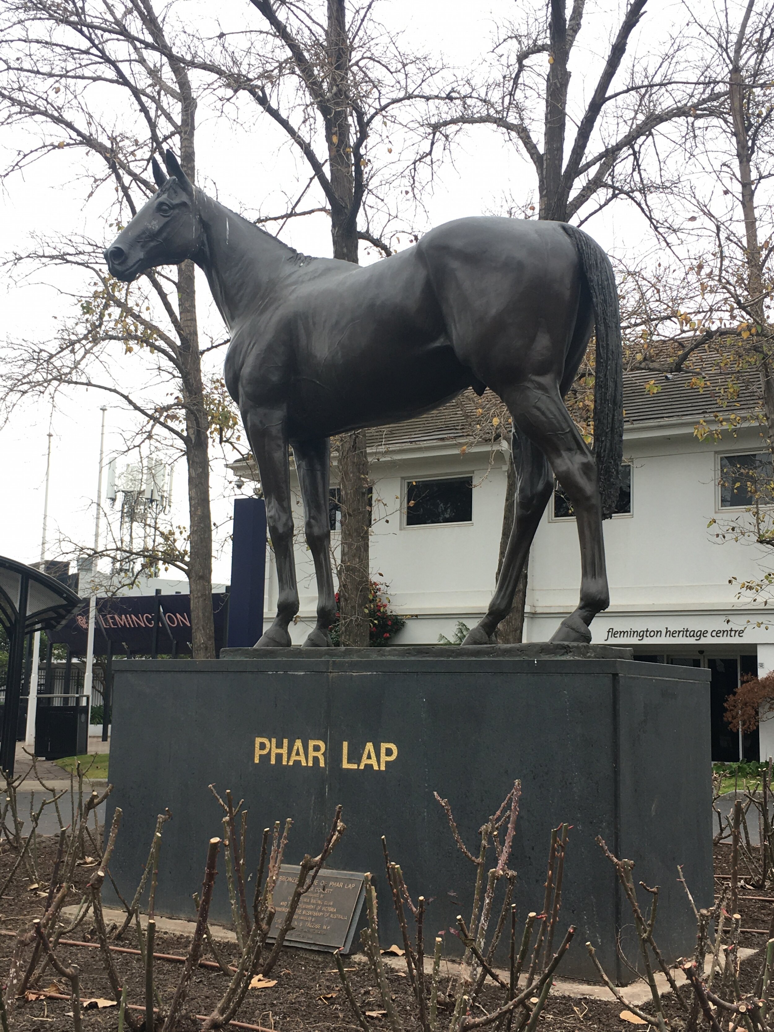 In addition to his racing colours in the Betting Ring, Flemington Racecourse honoured Phar Lap with a statue. Sculpted in 1988 by Peter Corlett who is behind many popular sculptures throughout Melbourne and Australia, including the statue of Bart Cummings from Part 1 of this series..