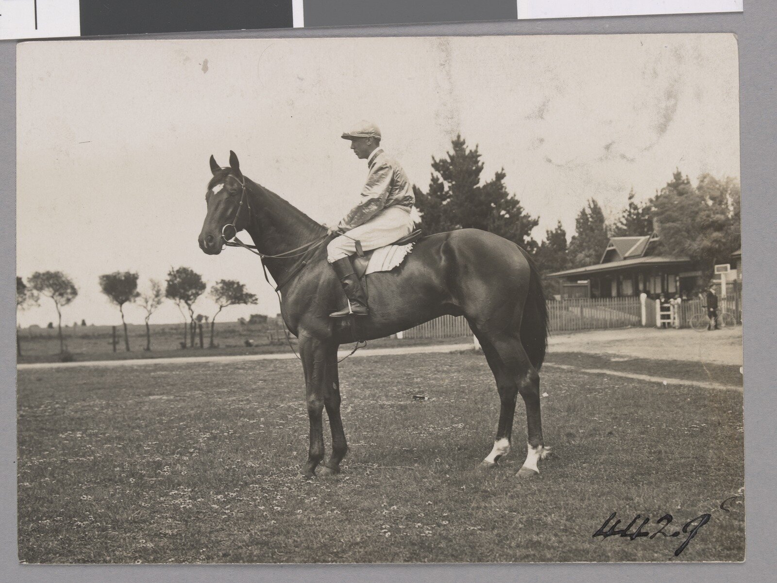 Sears' Studios, photographers. 1906. Poseidon and Jockey picture John Alfred Sears. Source: State Library of Victoria .