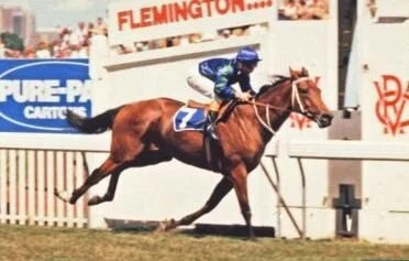 5 Just A Dash pic.jpg