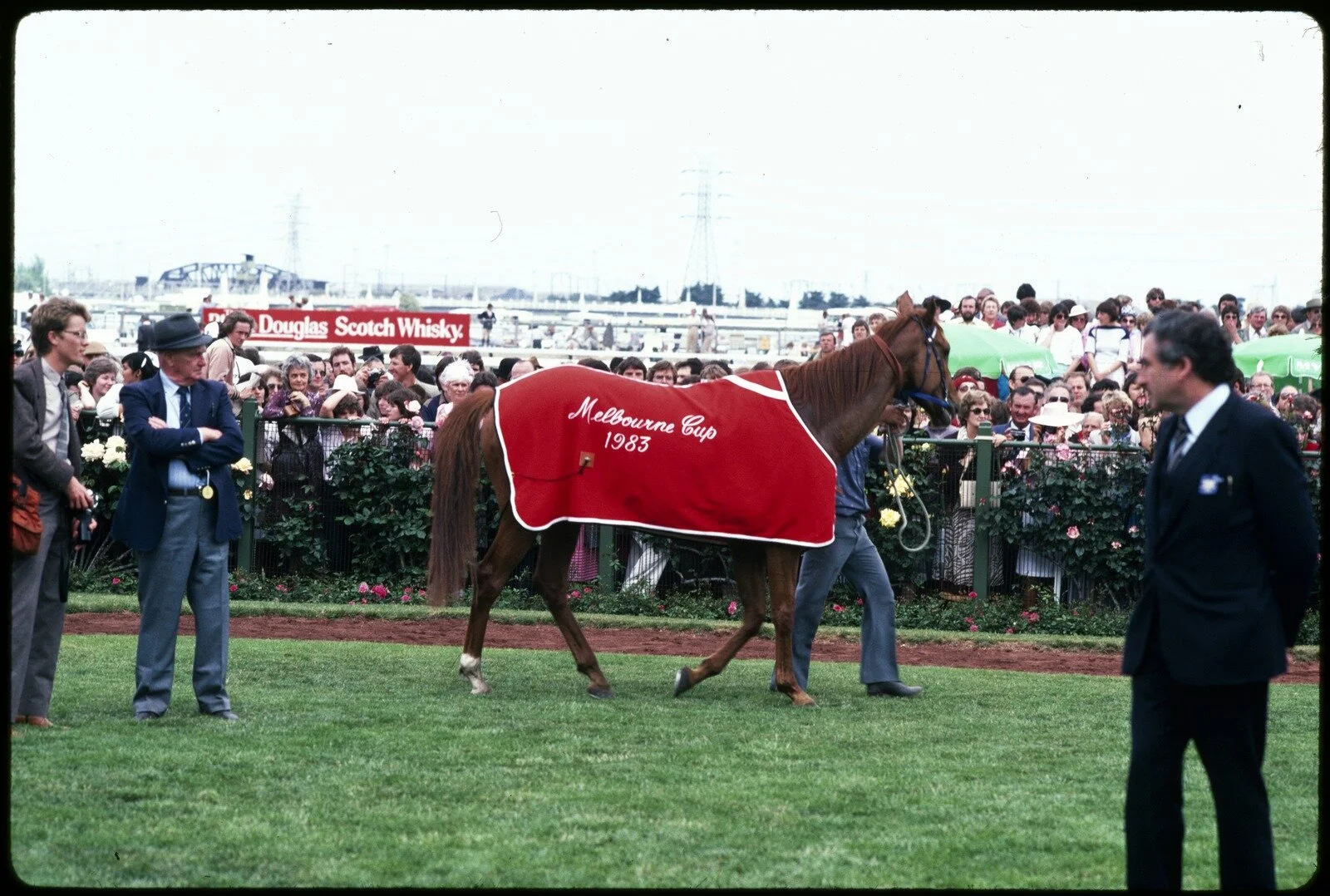 Ellis, R. (1983). 1983 Melb. [i.e. Melbourne] Cup Winner - Kiwi [picture] / Rennie Ellis., Rennie Ellis Collection. Spring Racing Carnival, Victoria$$QRennie Ellis Collection. Spring Racing Carnival, Victoria. Source: State Library of Victoria.