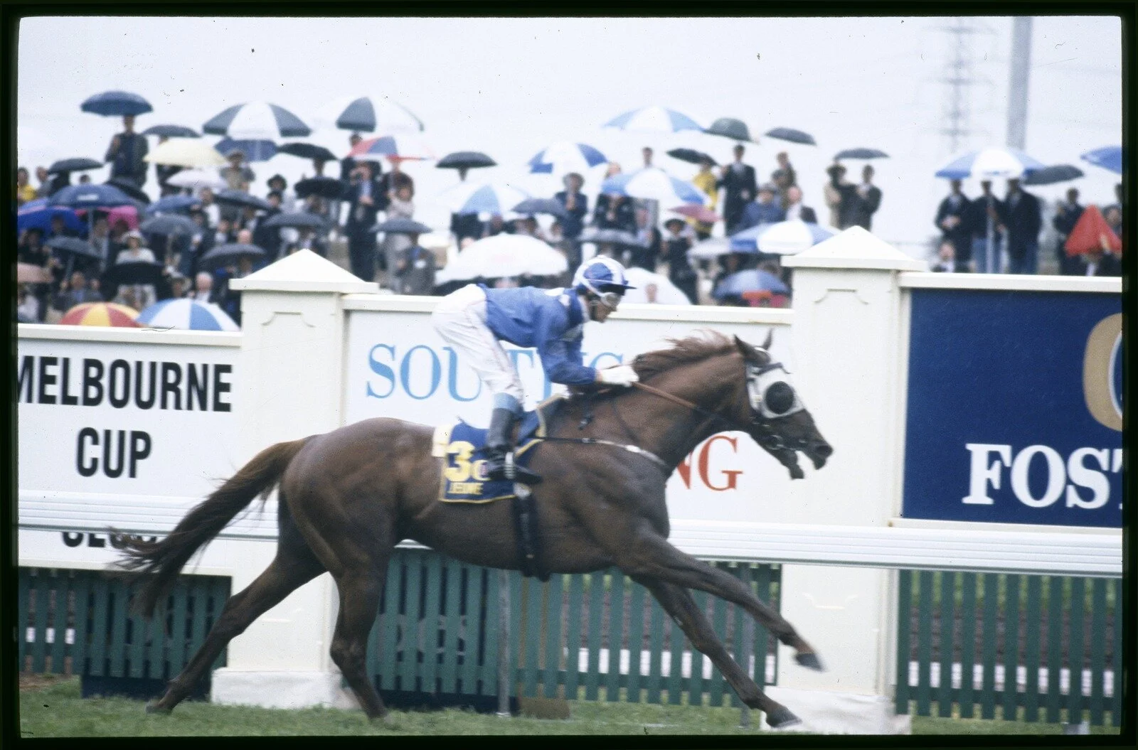Ellis, R. (1994). [Jeune and Jockey Wayne Harris during the 1994 Melbourne Cup] [picture] / Rennie Ellis., Rennie Ellis Collection. Spring Racing Carnival, Victoria$$QRennie Ellis Collection. Spring Racing Carnival, Victoria. Source: State Library of Victoria.