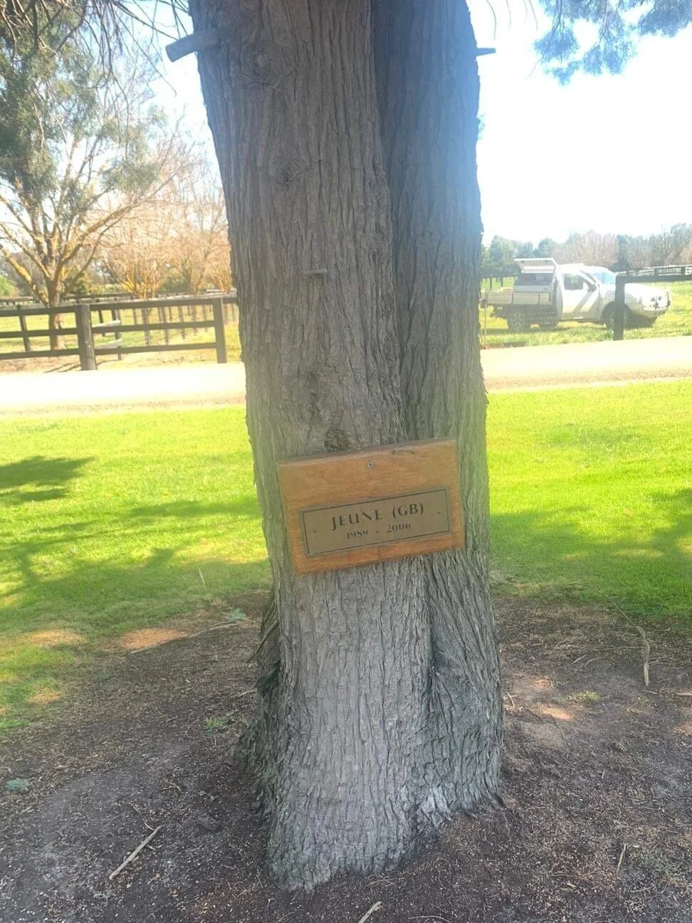 Photo kindly provided by Collingrove and Swettenham – thank you!