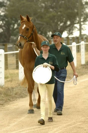 Saintly on one of his visits to Living Legends, Victoria.