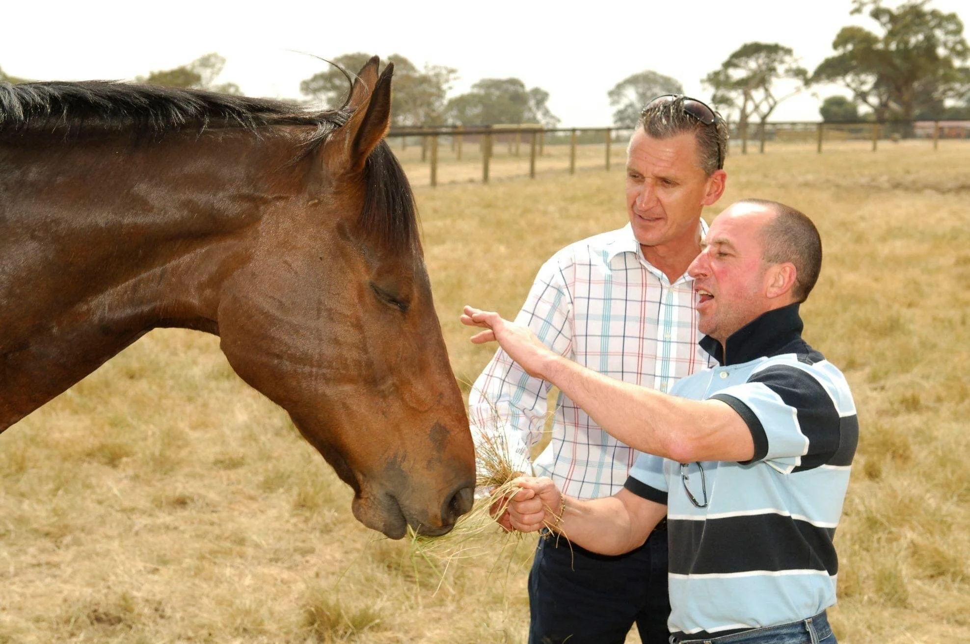 Jim Cassidy enjoys a quiet visit with his former winning ride and Living Legend, Might and Power.
