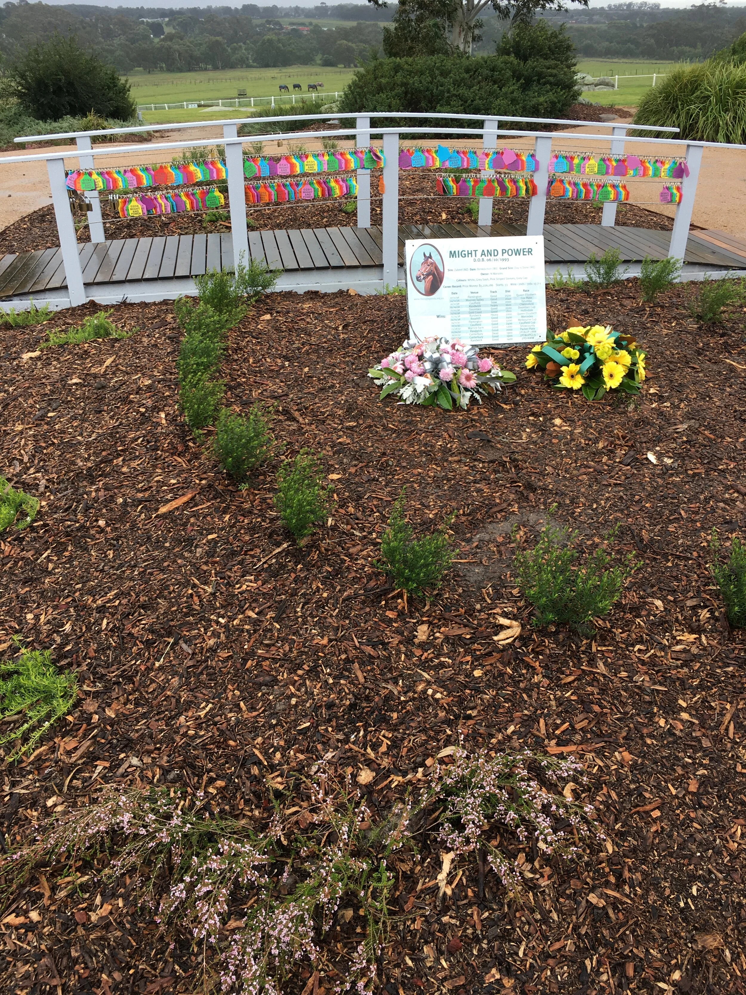 Help Living Legends by contributing to Bob’s Rainbow    HERE.