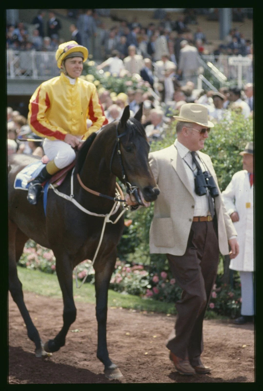 Ellis, R. (1990). [1990 Melbourne Cup Winner Kingston Rule with Jockey Darren Beadman and Unidentified Man] [picture] / Rennie Ellis., Rennie Ellis Collection. Spring Racing Carnival, Victoria$$QRennie Ellis Collection. Spring Racing Carnival, Victoria. Source: State Library of Victoria.