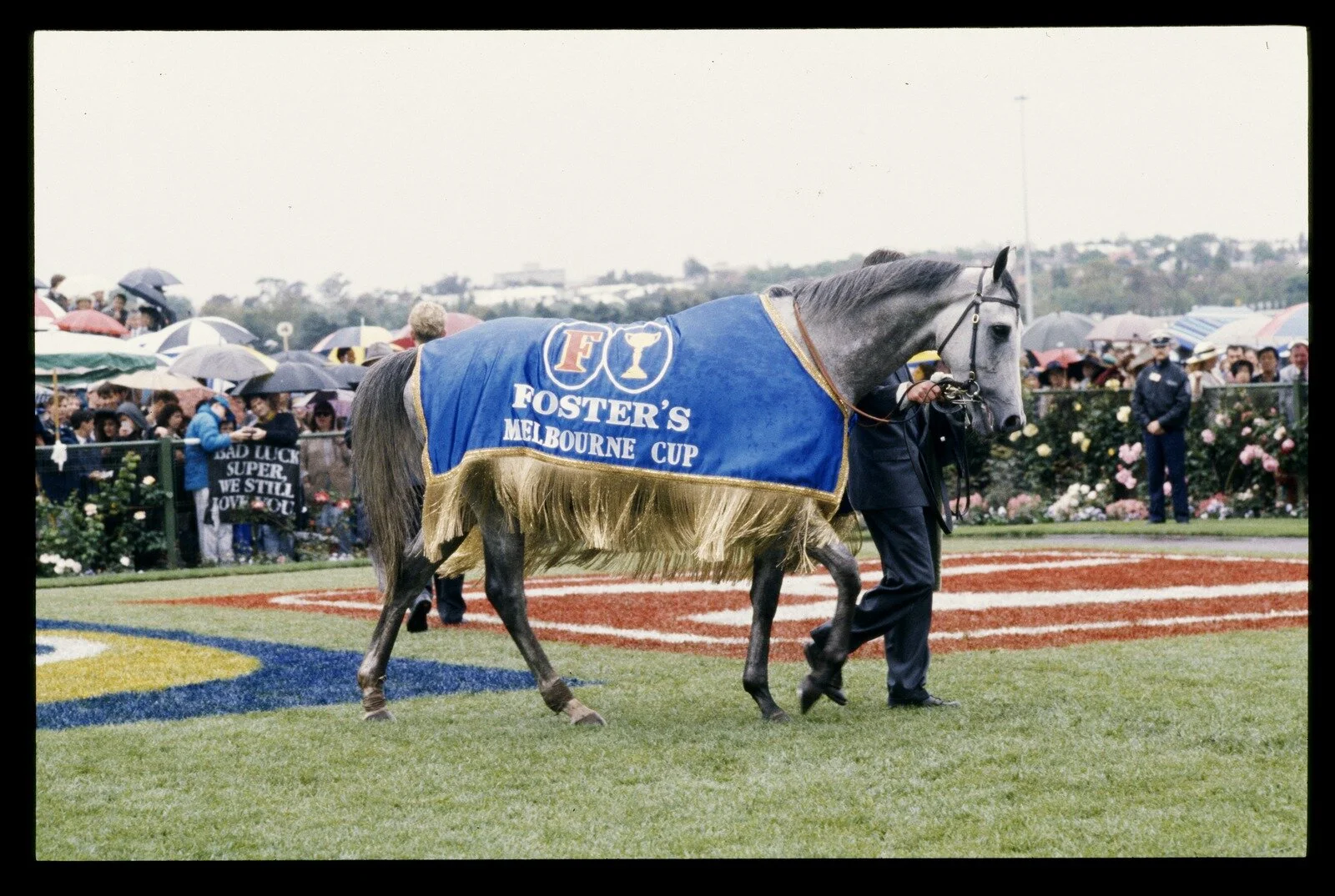 Ellis, R. (1992). Subzero - Melb. [i.e. Melbourne] Cup Winner [picture] / Rennie Ellis., Rennie Ellis Collection. Spring Racing Carnival, Victoria$$QRennie Ellis Collection. Spring Racing Carnival, Victoria. SOURCE: State Library of Victoria.