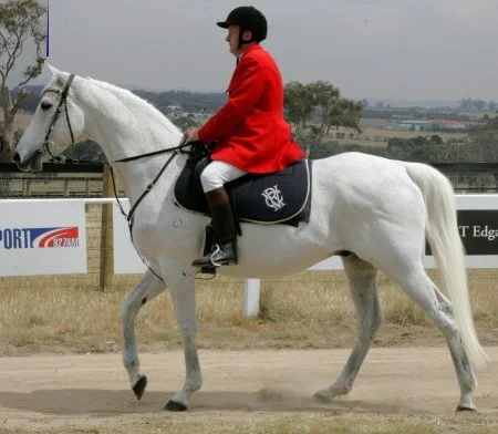 Subbie and Graham on a visit to Living Legends.
