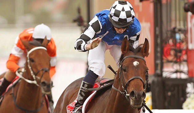 8 protectionist mc.jpg