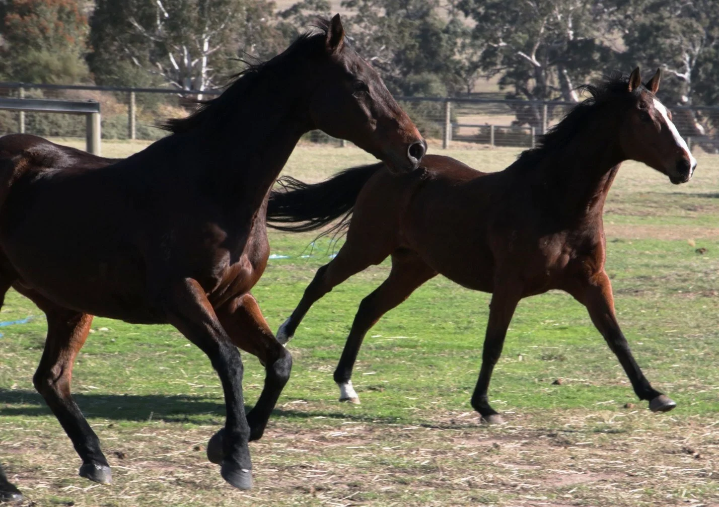 8 Prince 5 Mighty.jpg