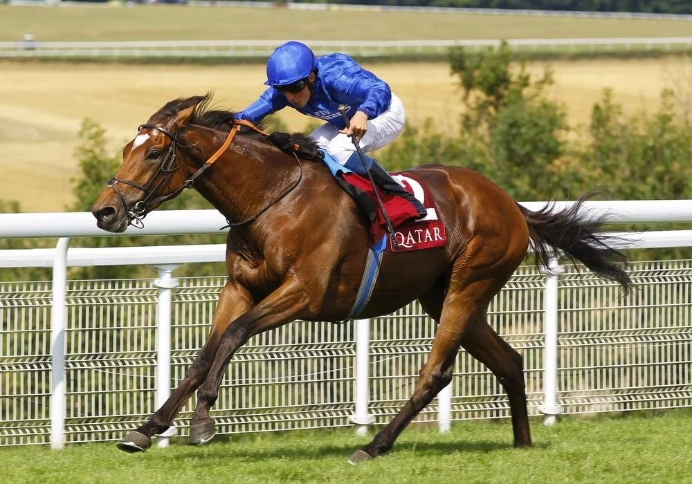 8 Cross Counter pic.jpg