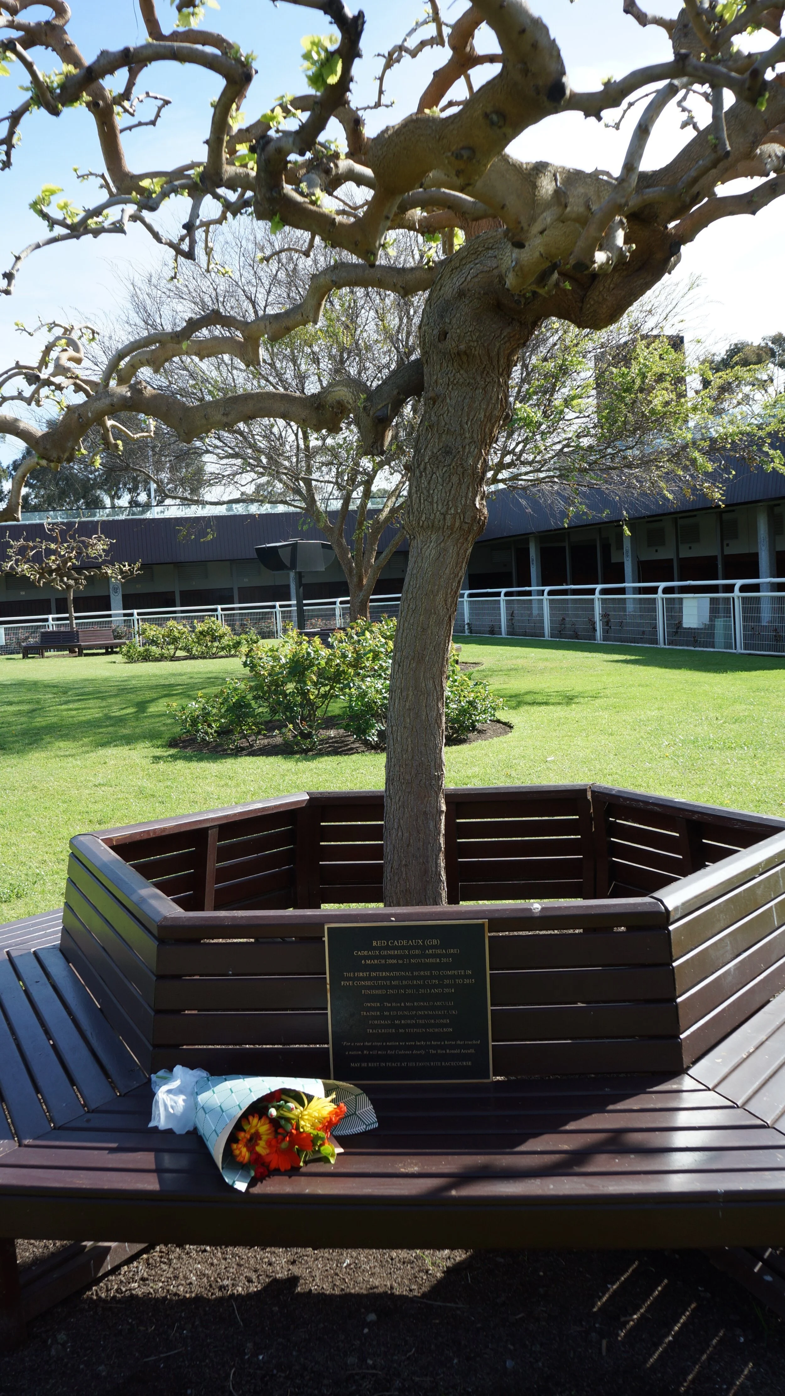 8 Red Cadeaux plaque with tree.JPG